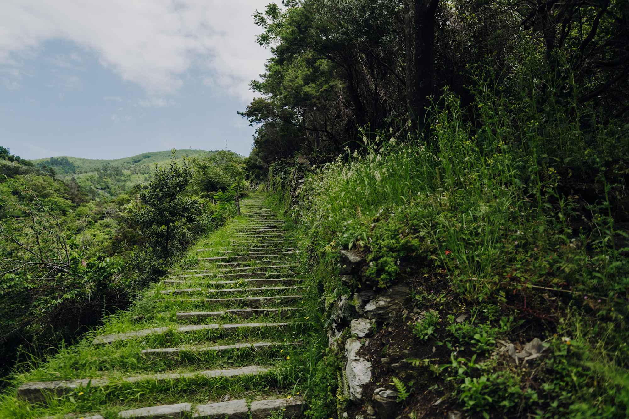 Am Weg von Riomaggiore zur Kirche Santuario di Nostra Signora di Montenero (Wegnummer 593)