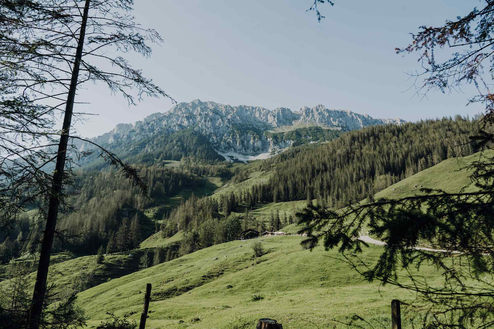 Wanderung durch die Rehbacklamm