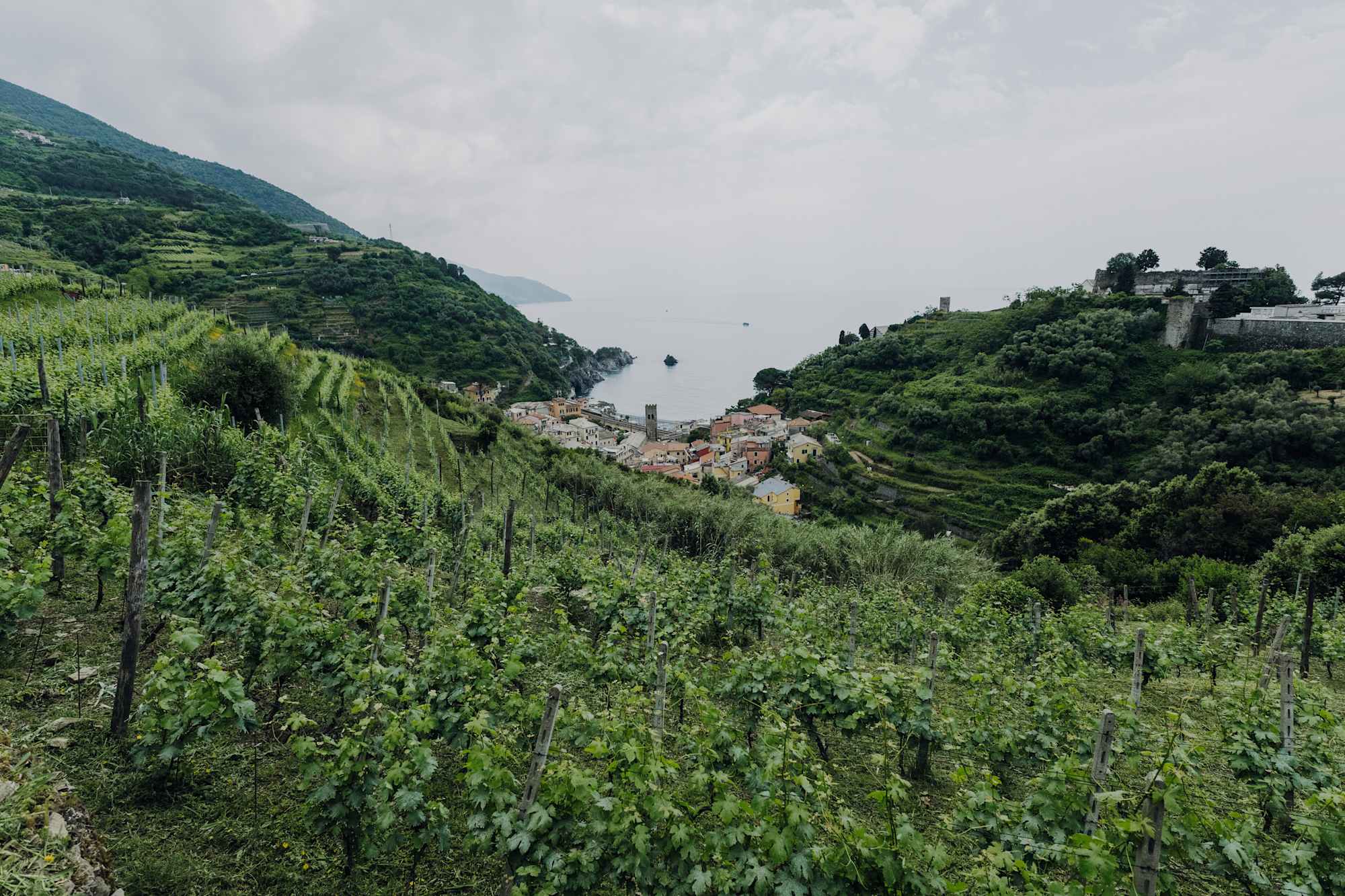 Weingut "Buranco" in Monterosso al Mare