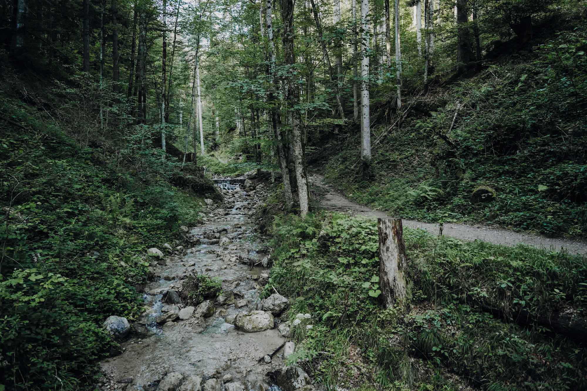Wanderung durch die Rehbacklamm