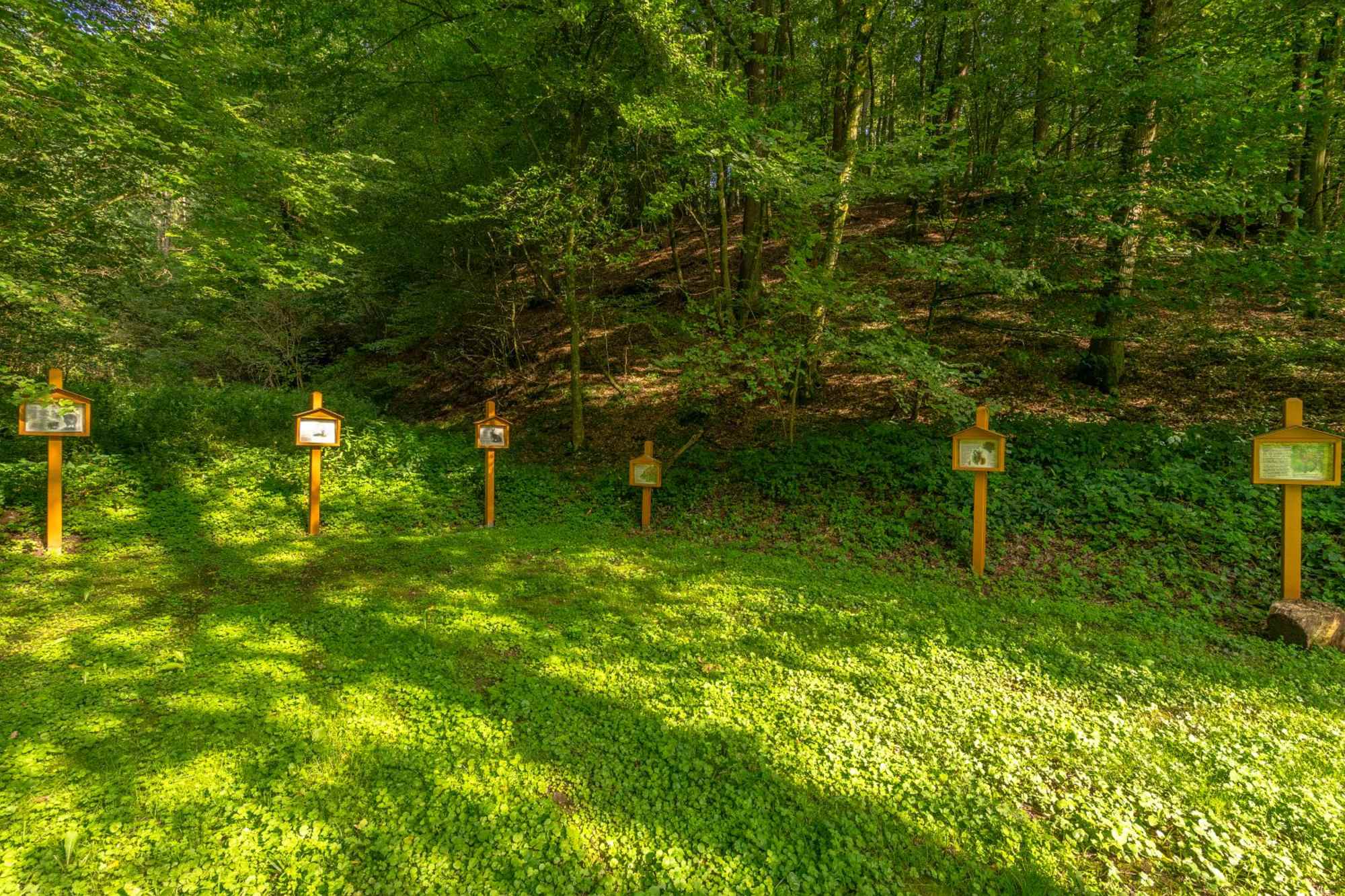 Deutschritterweg