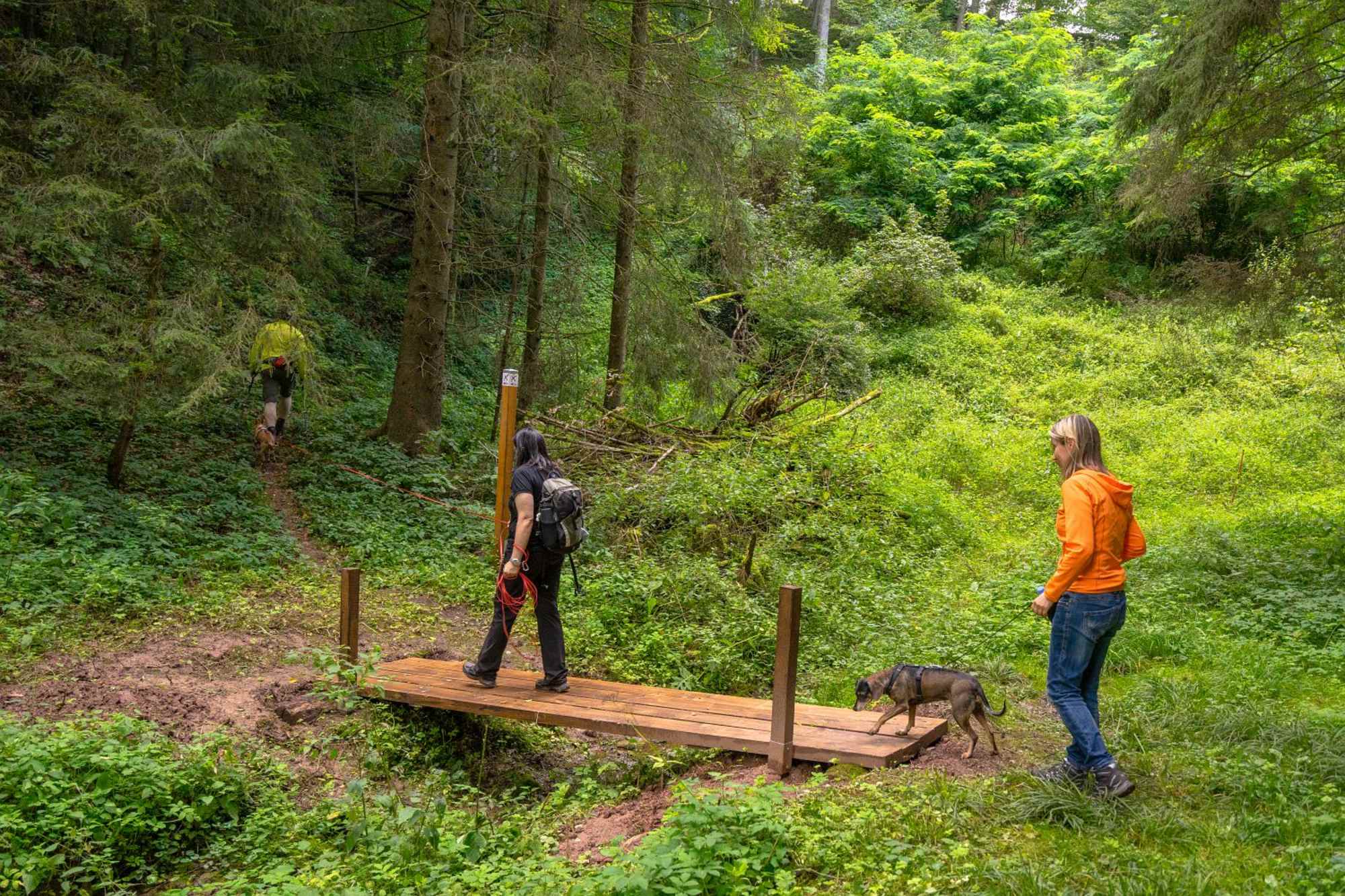 Deutschritterweg