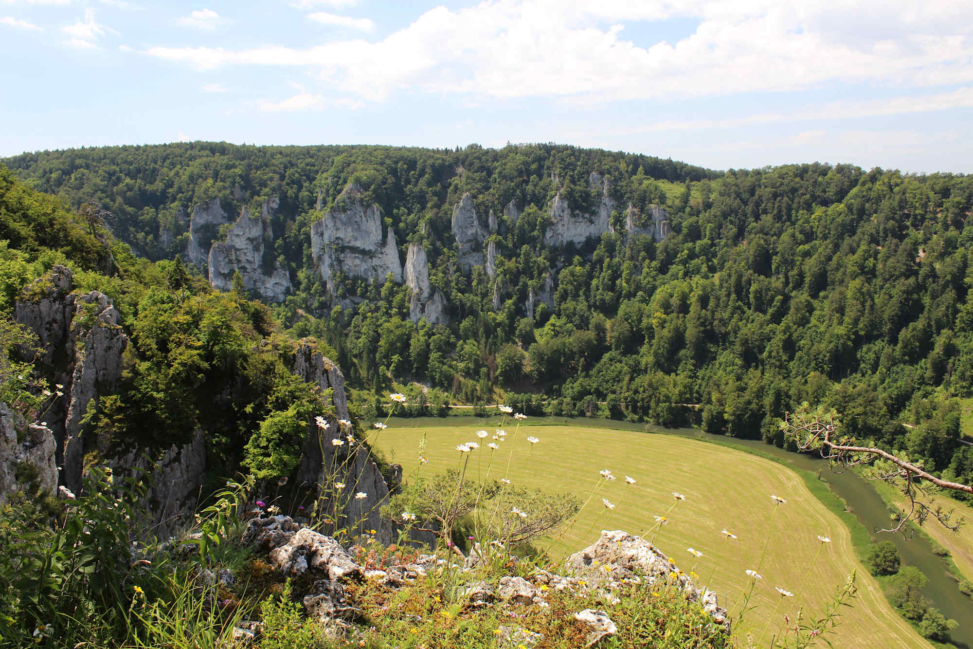 Aussicht von den Schaufelsen im Donautal