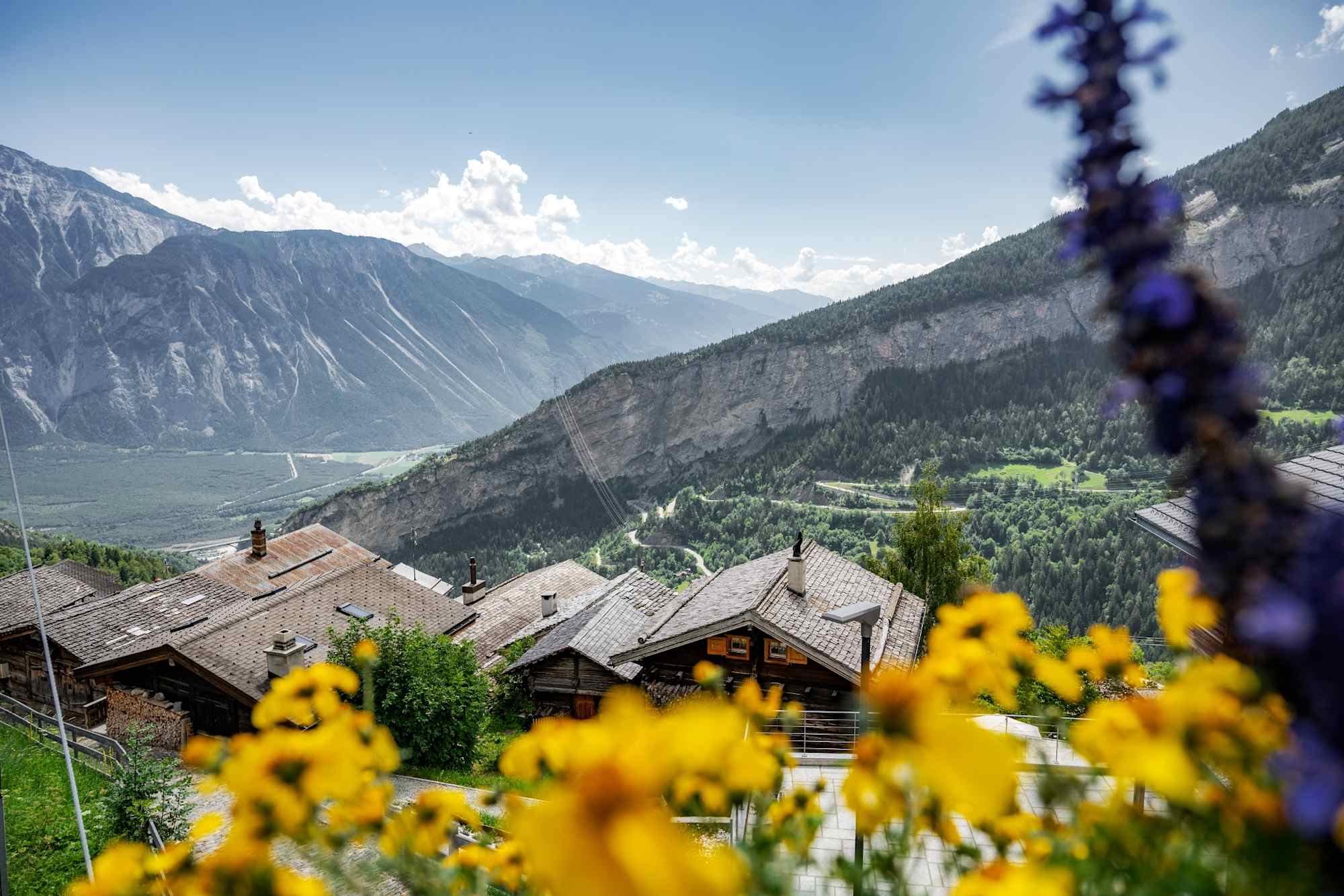 Im Sommer summt und und brummt es rund um das Dorf Albinen.