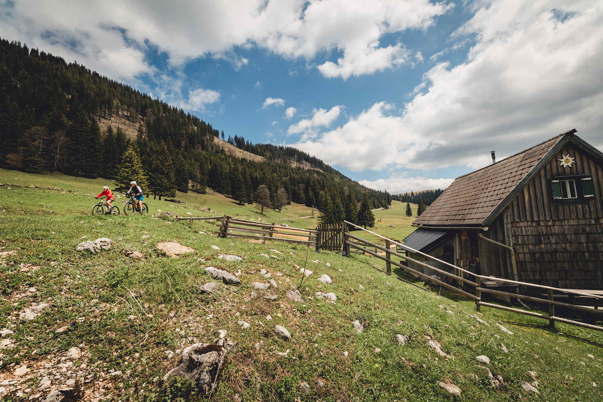 Auf der Durriegelalm im Naturpark Mürzer Oberland