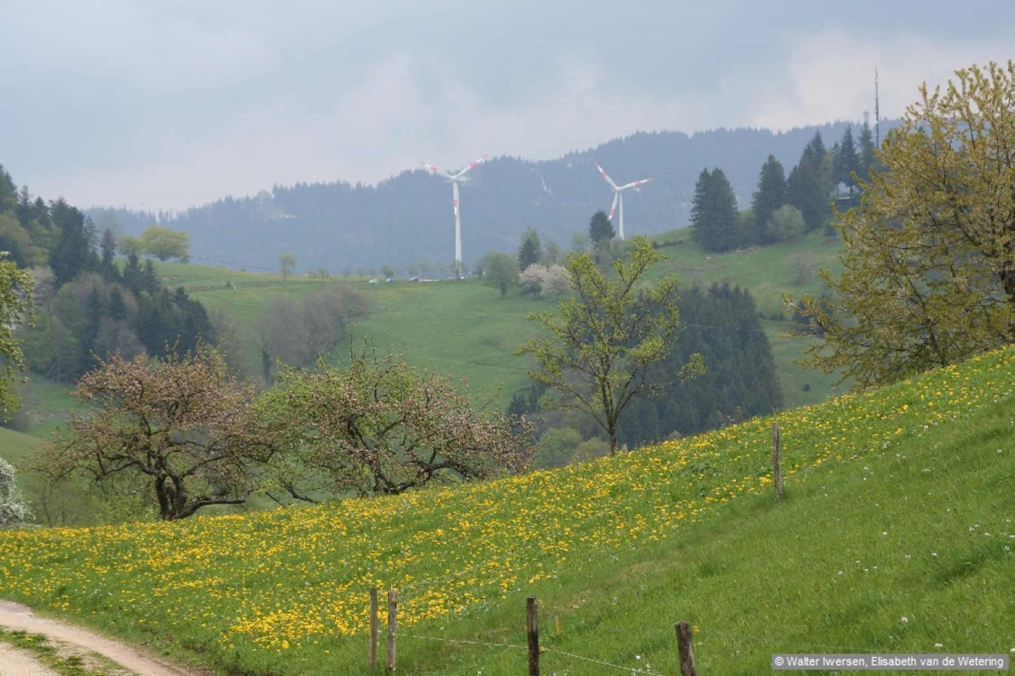 Eduardshöhe