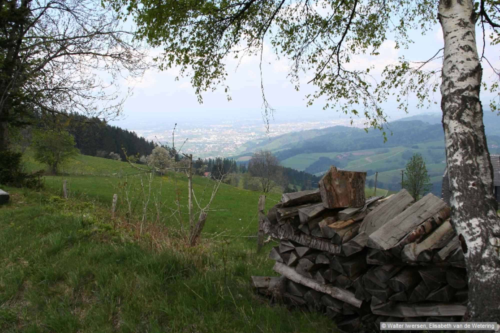 Schmaler Pfad