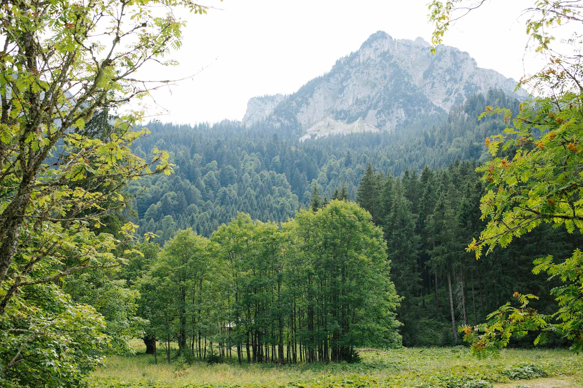 Wanderung zum Berggasthaus Bleckenau