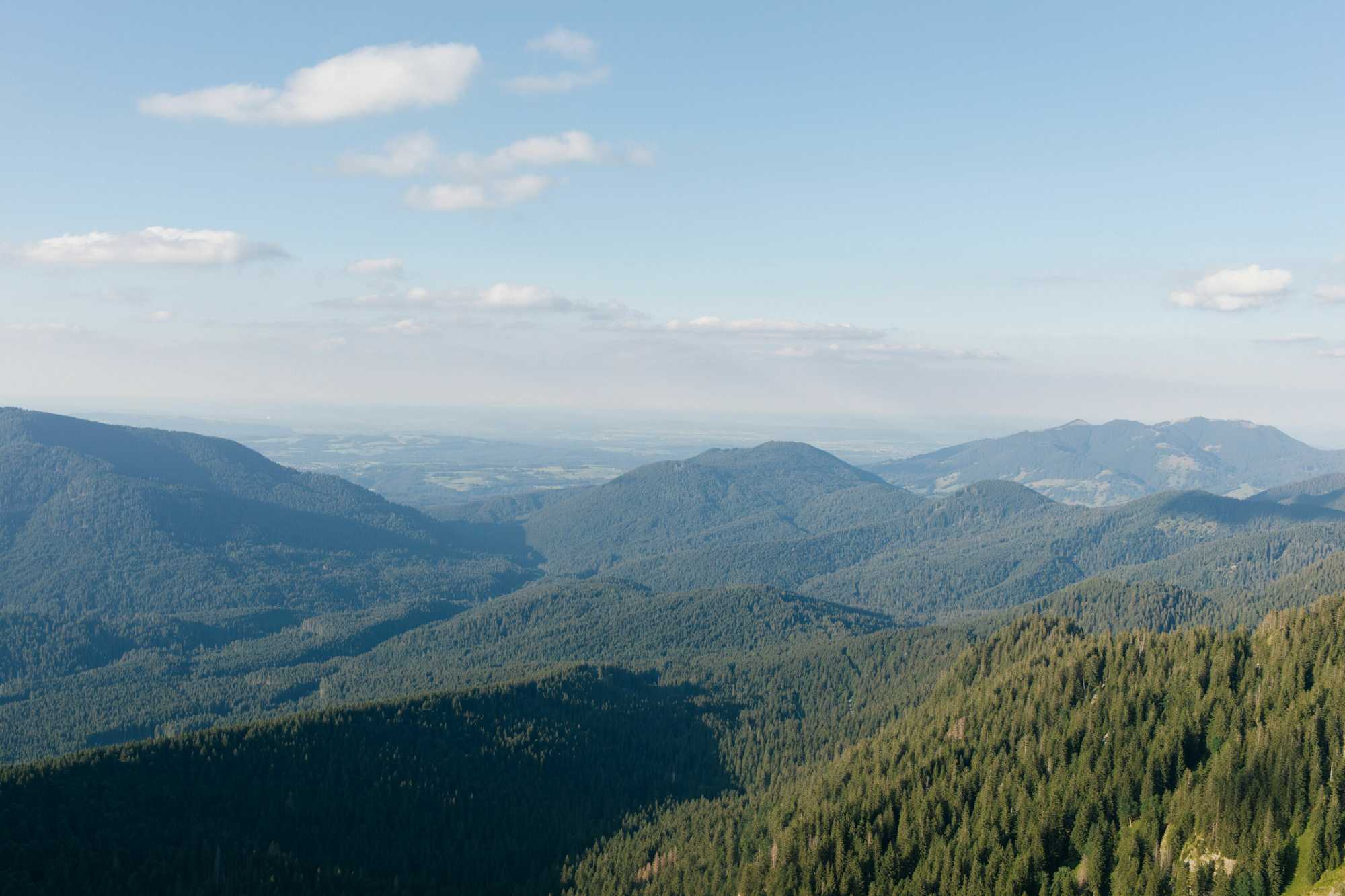 Blick über die grünen Ammergauer Alpen