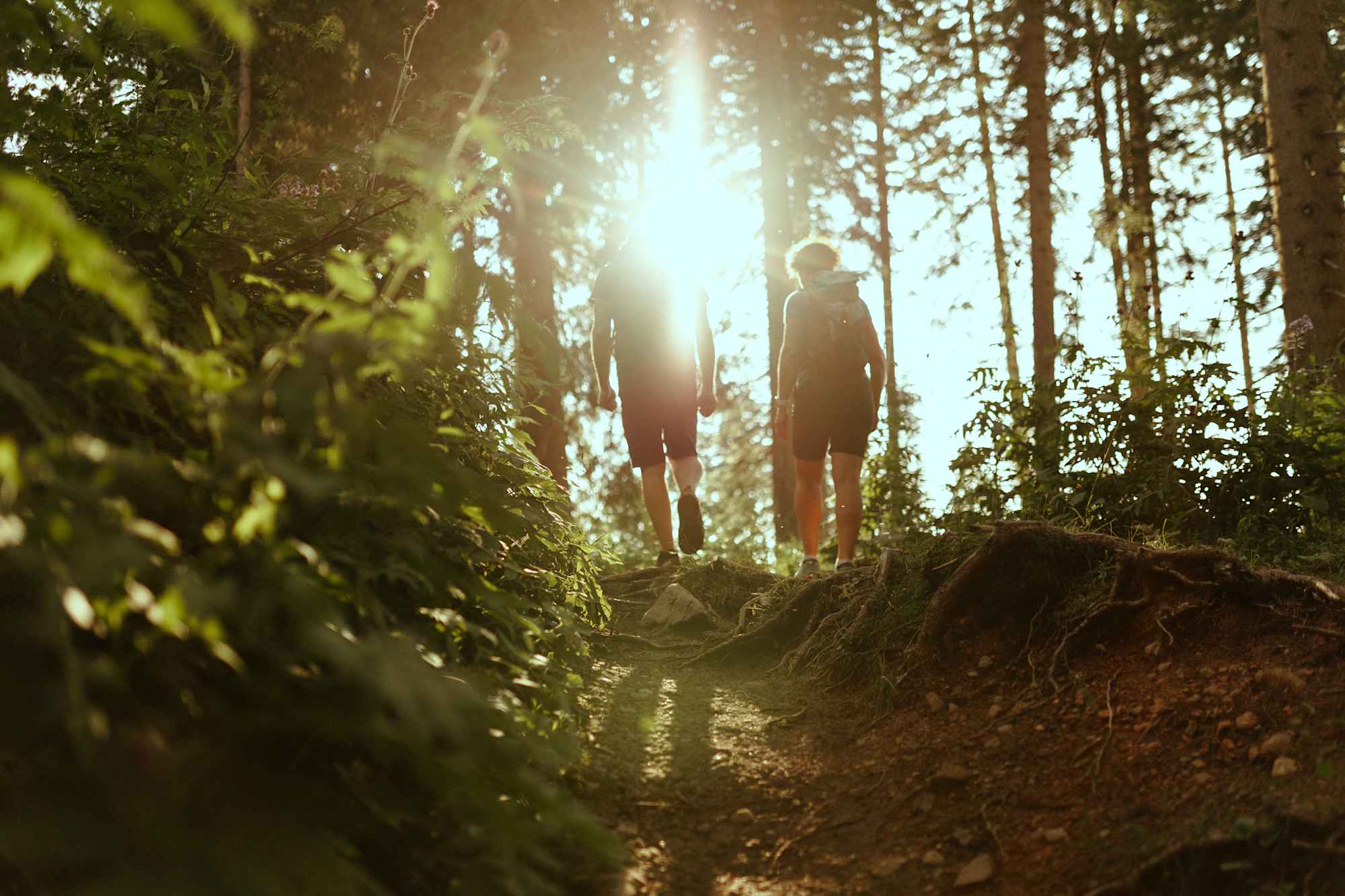 Am Weg zum Felsenlabyrinth am Fuße des Latemar