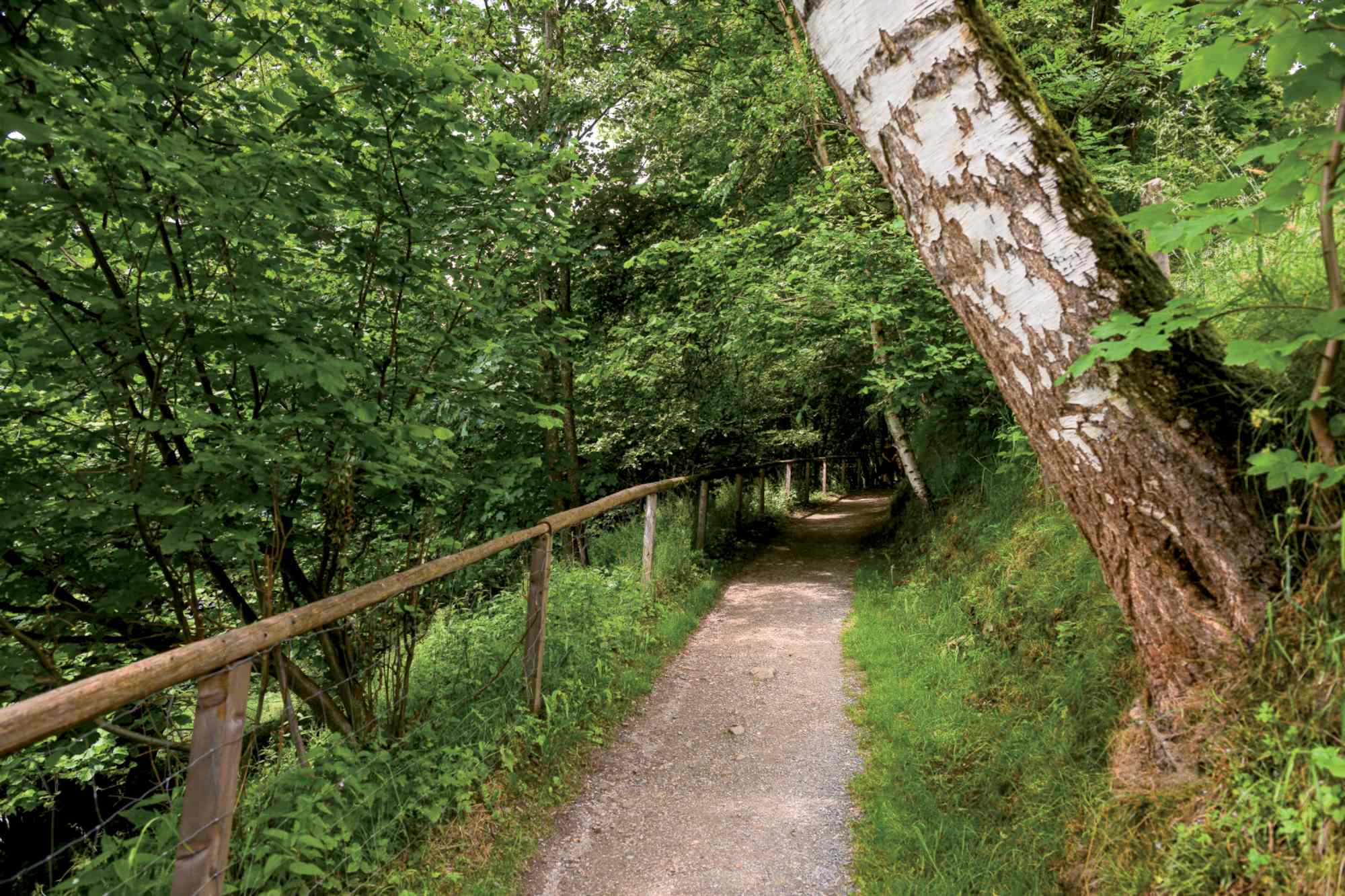 Gadaunerer Schlucht