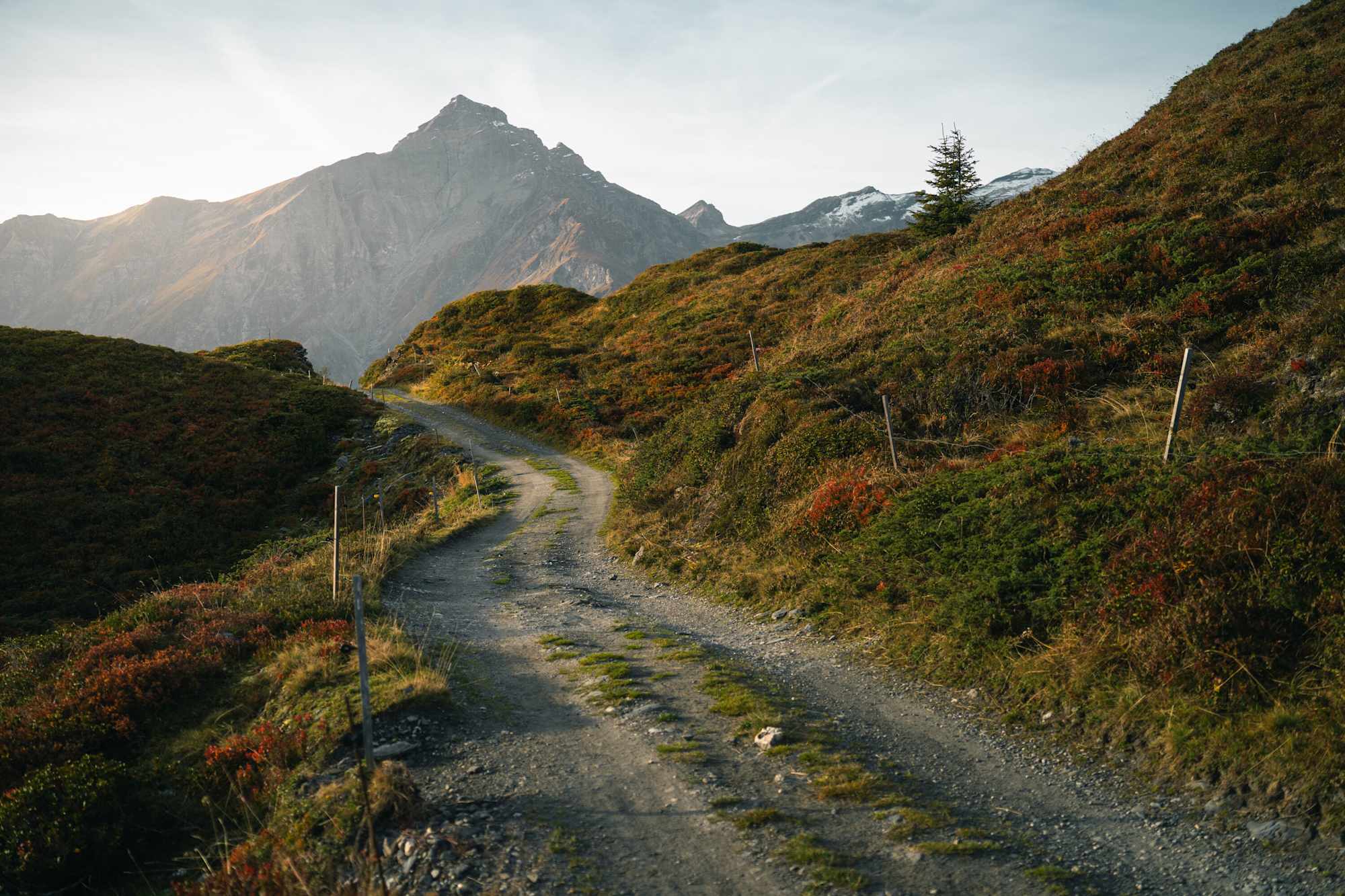 Kulinarik-Wanderung Glaspass