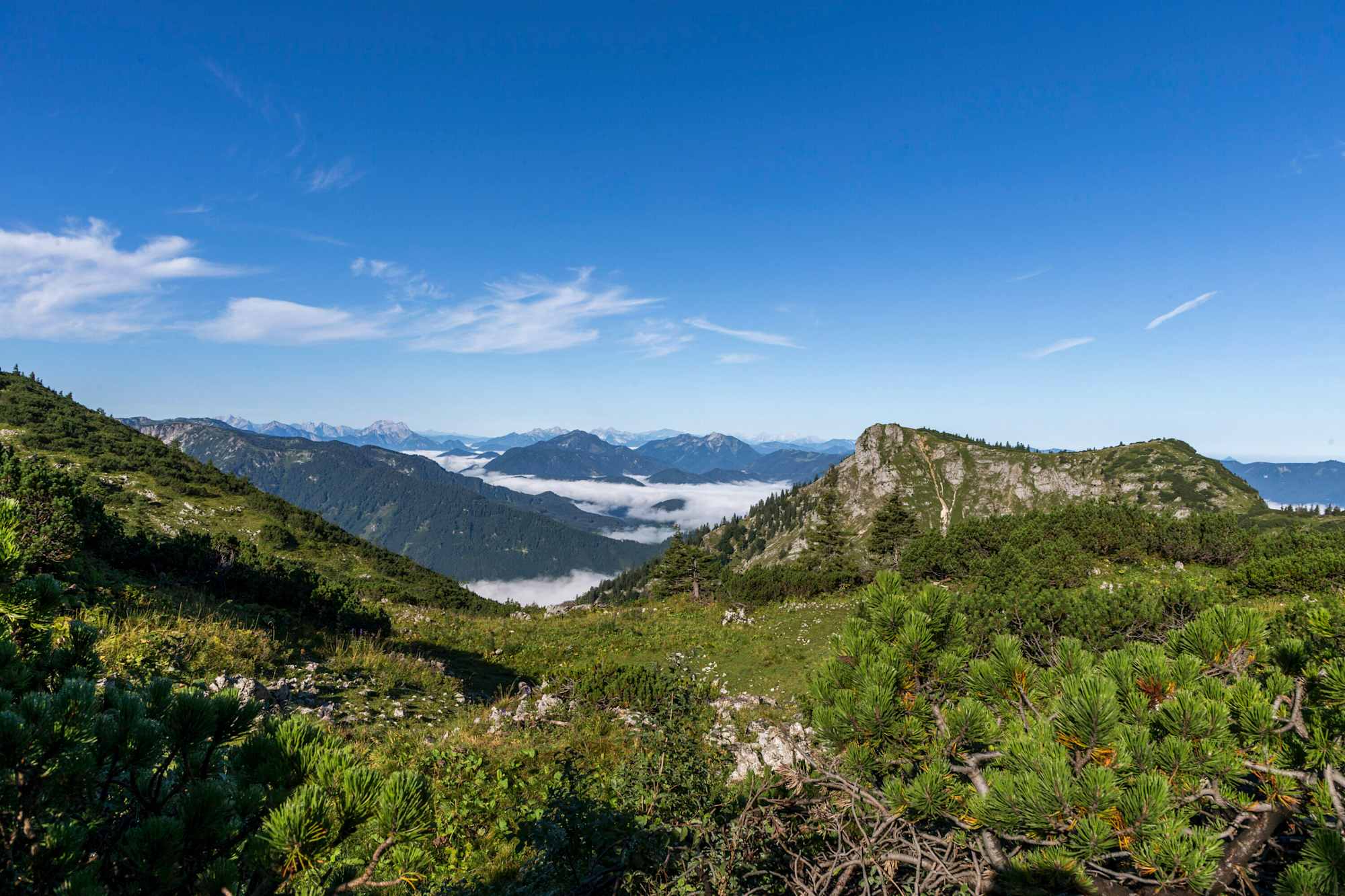 Blick von der Ybbstalerhütte