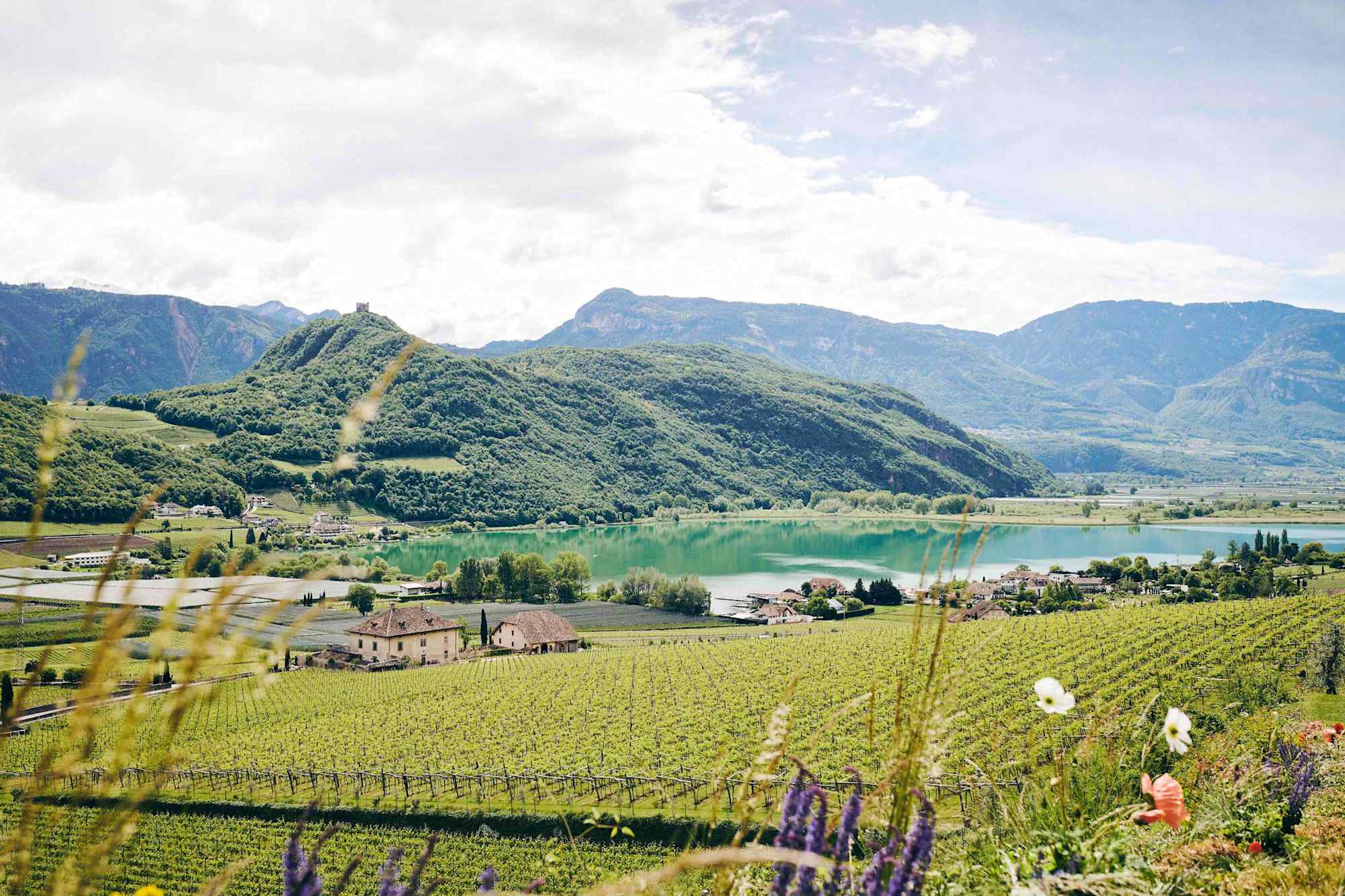 Blick auf den Kalterer See