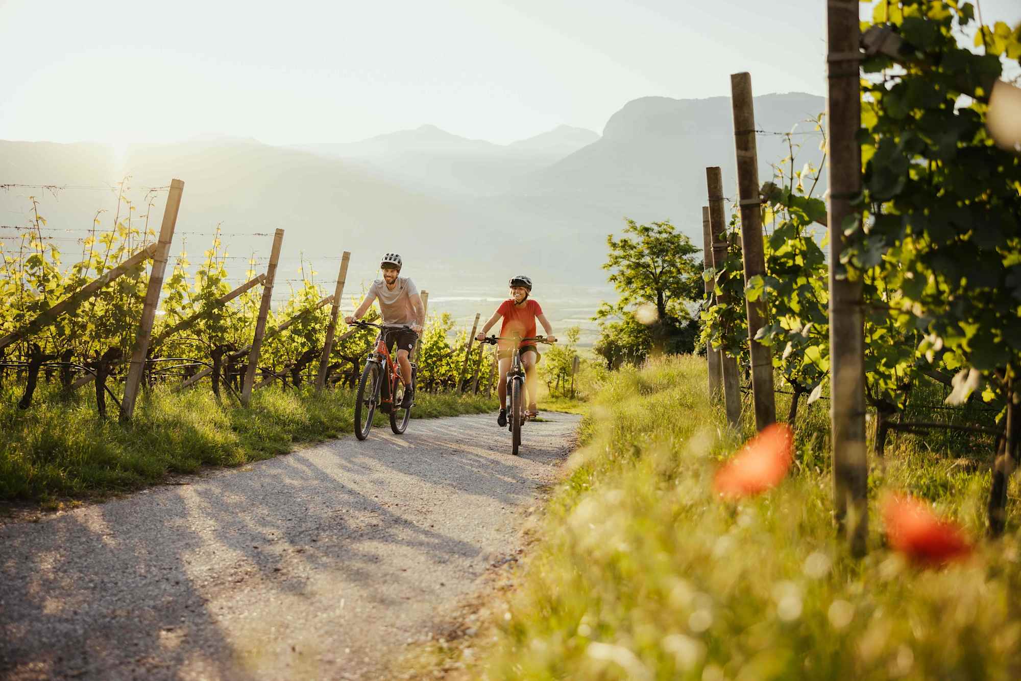Entspannt mit dem Bike durch die Weinberge
