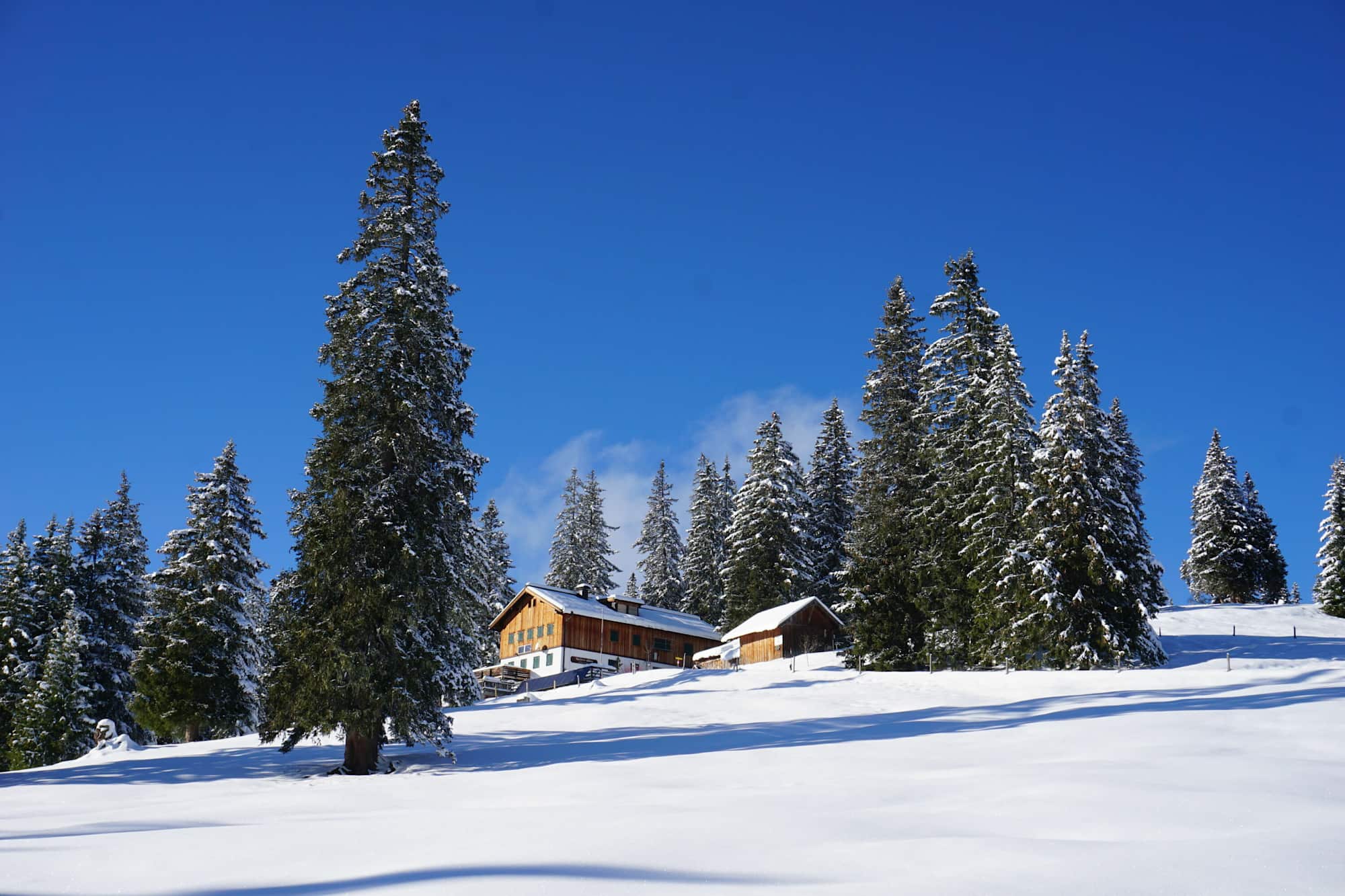 die Gufferthütte im Winter