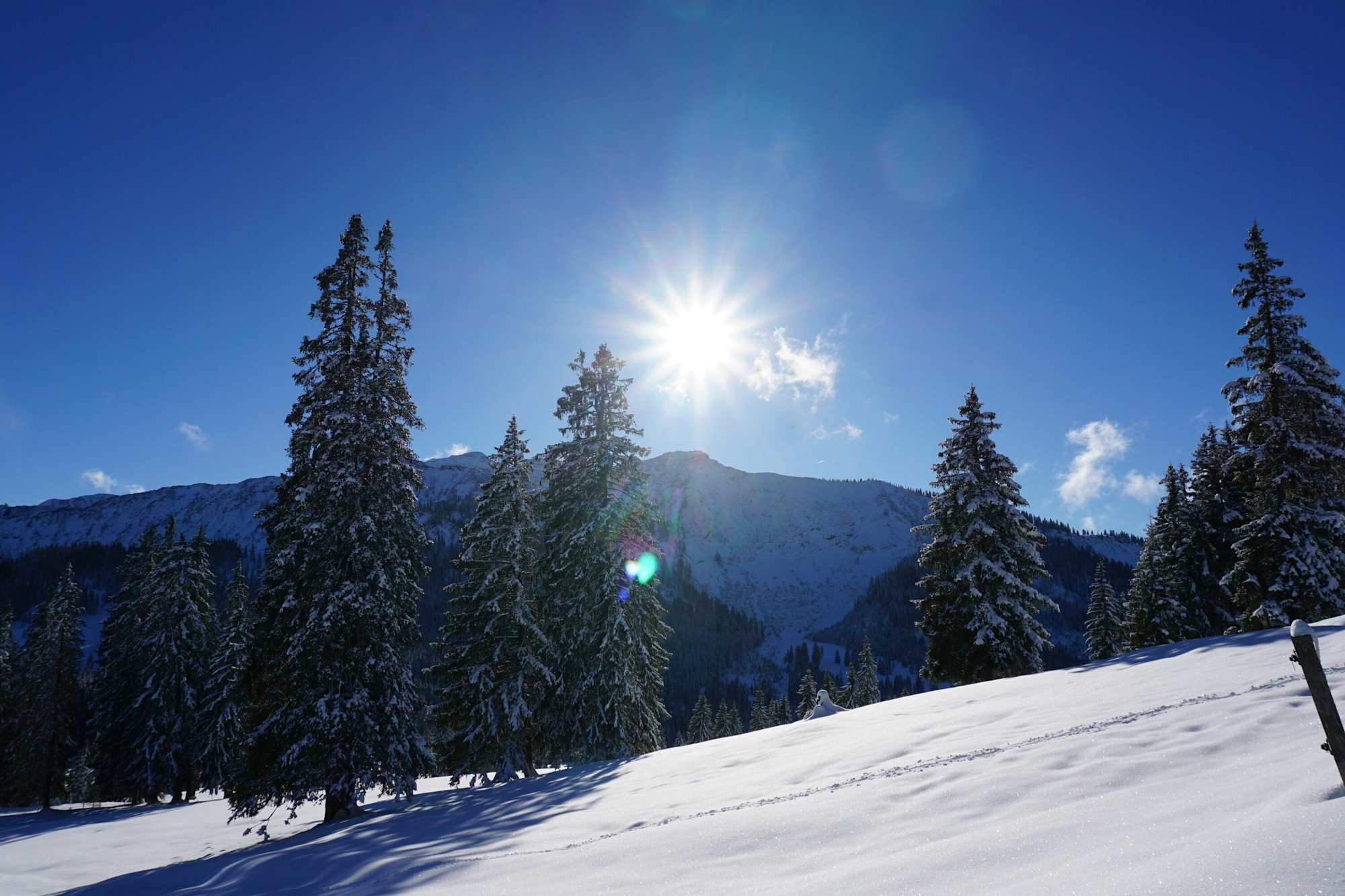 Das Gebiet rund um die Gufferthütte