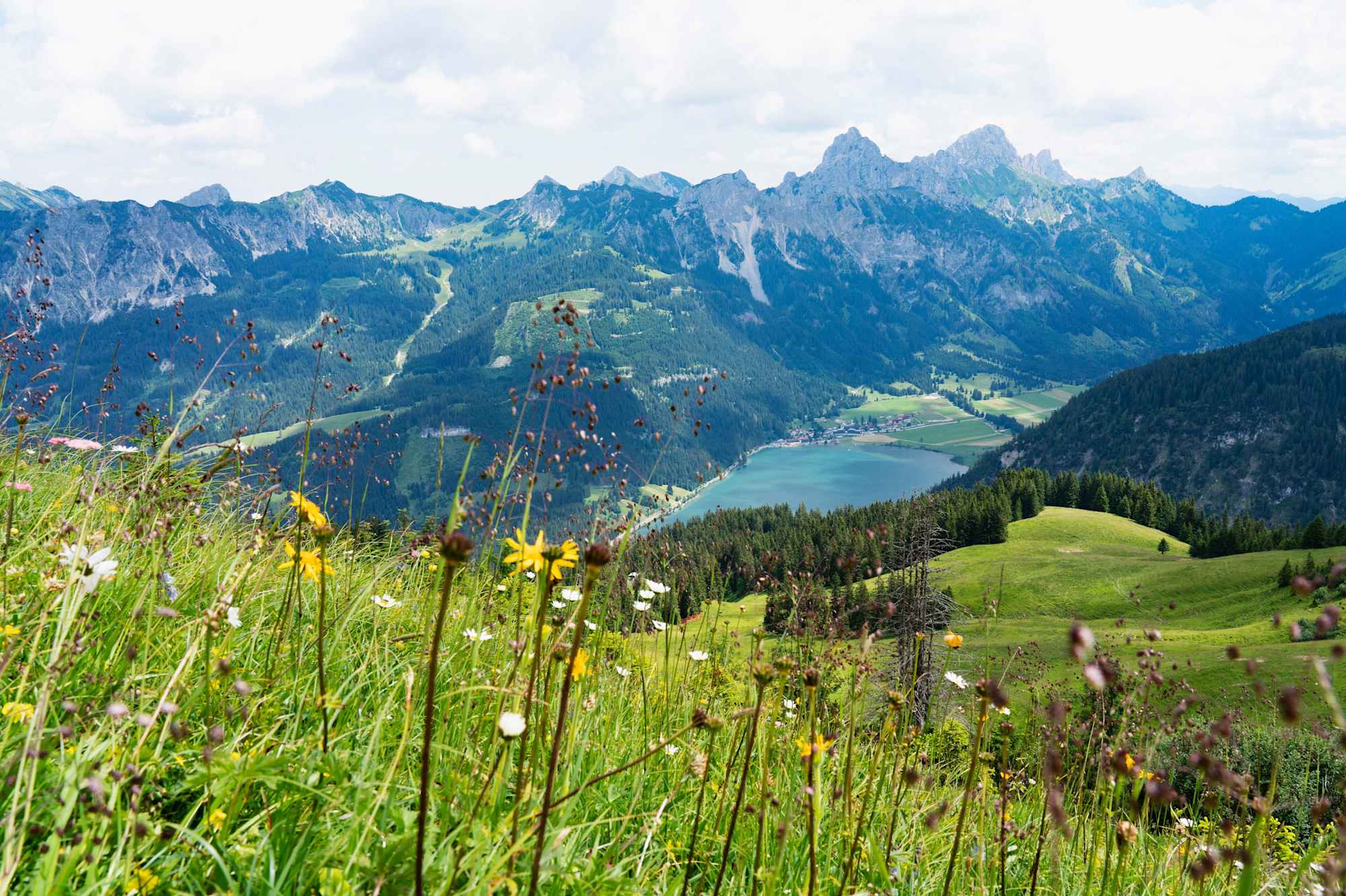 Blick auf den Haldensee