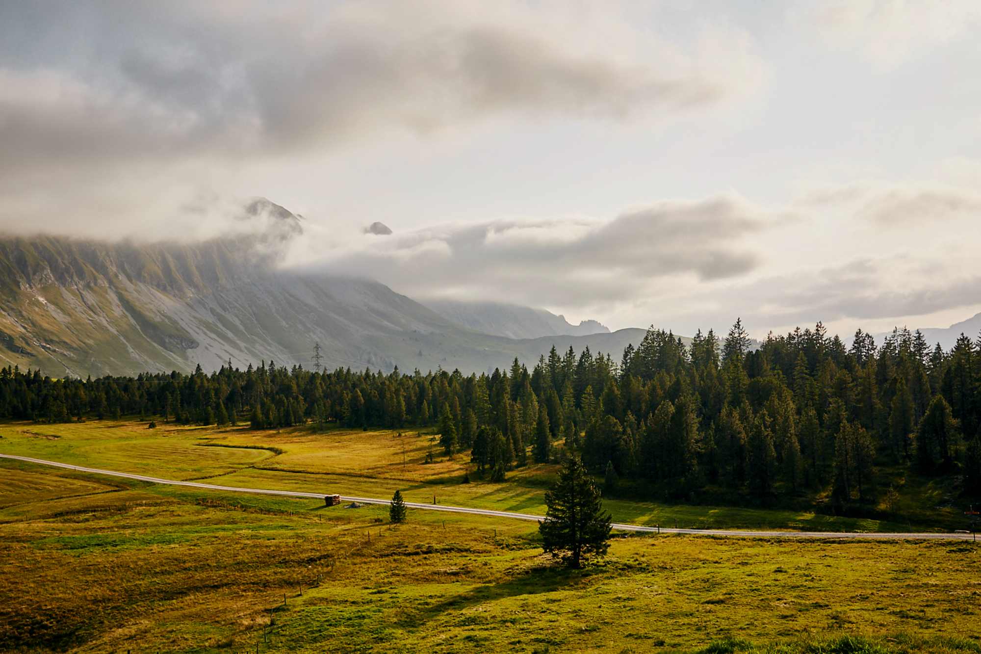 Moor-Rundweg in Sörenberg - mystische Landschaft beim "Türndli"