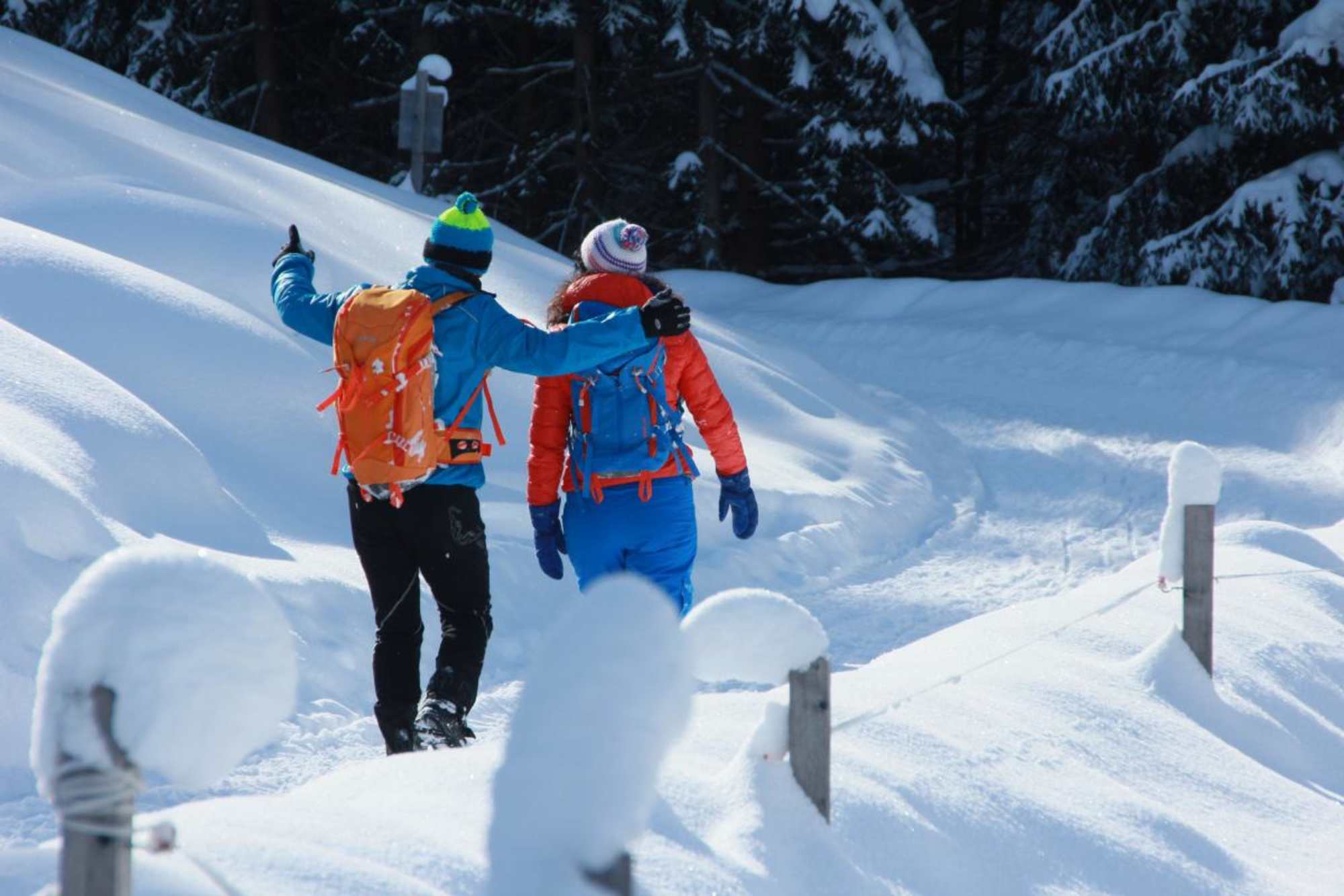 Winterwandern am Hornbach