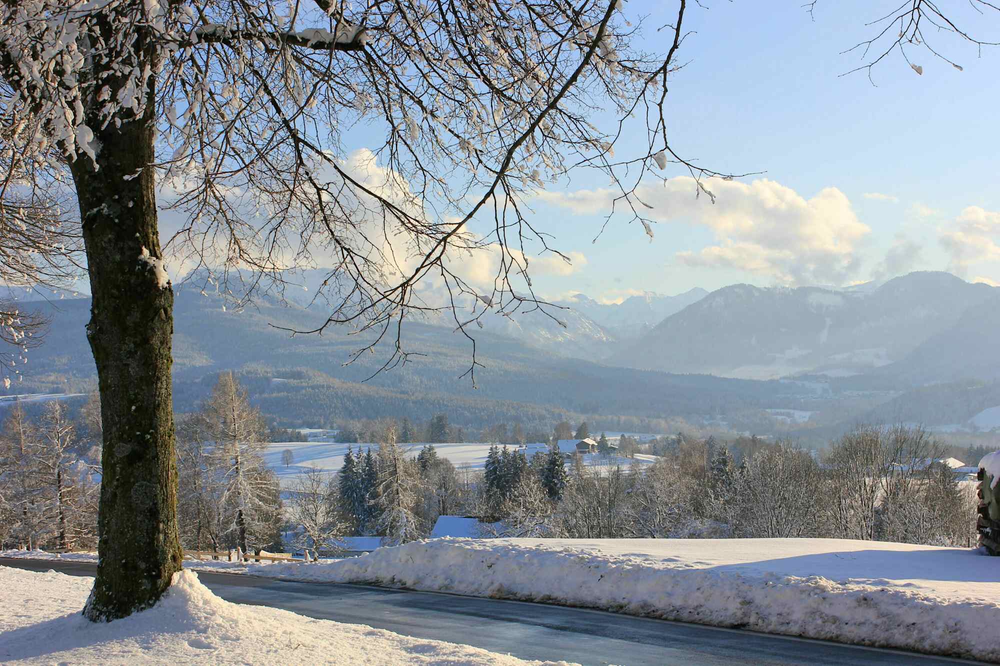 Bergblick 