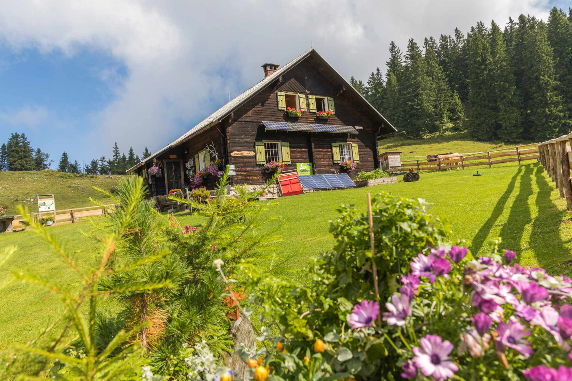 Hollenstein Alm