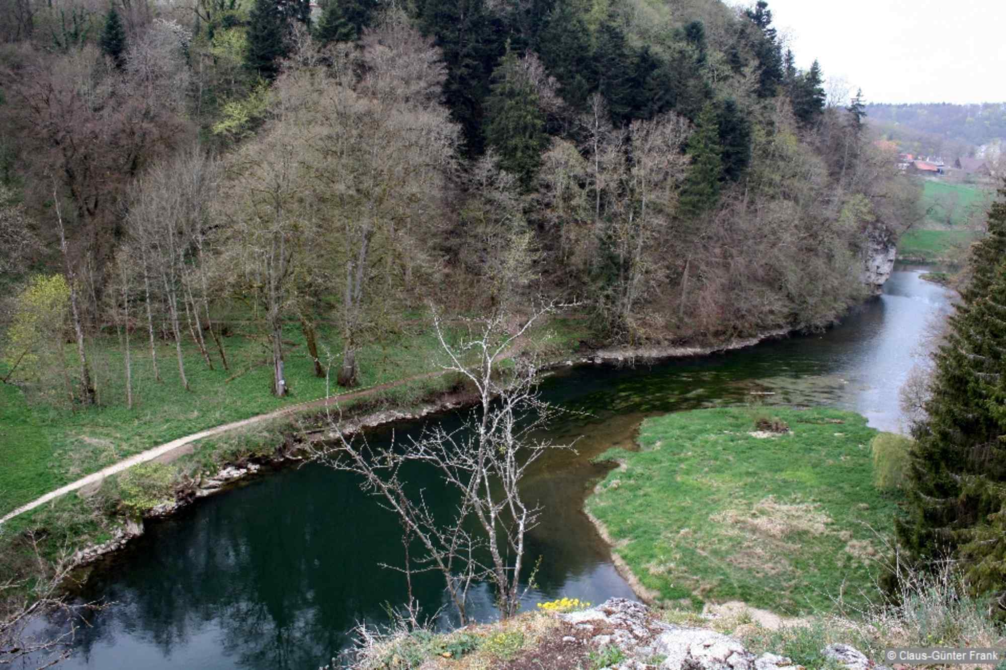Bei einer Wegspinne führen rechts zwei Wege auf den singulär stehenden Amalienfelsen, ein steiler und ein sanft ansteigender.