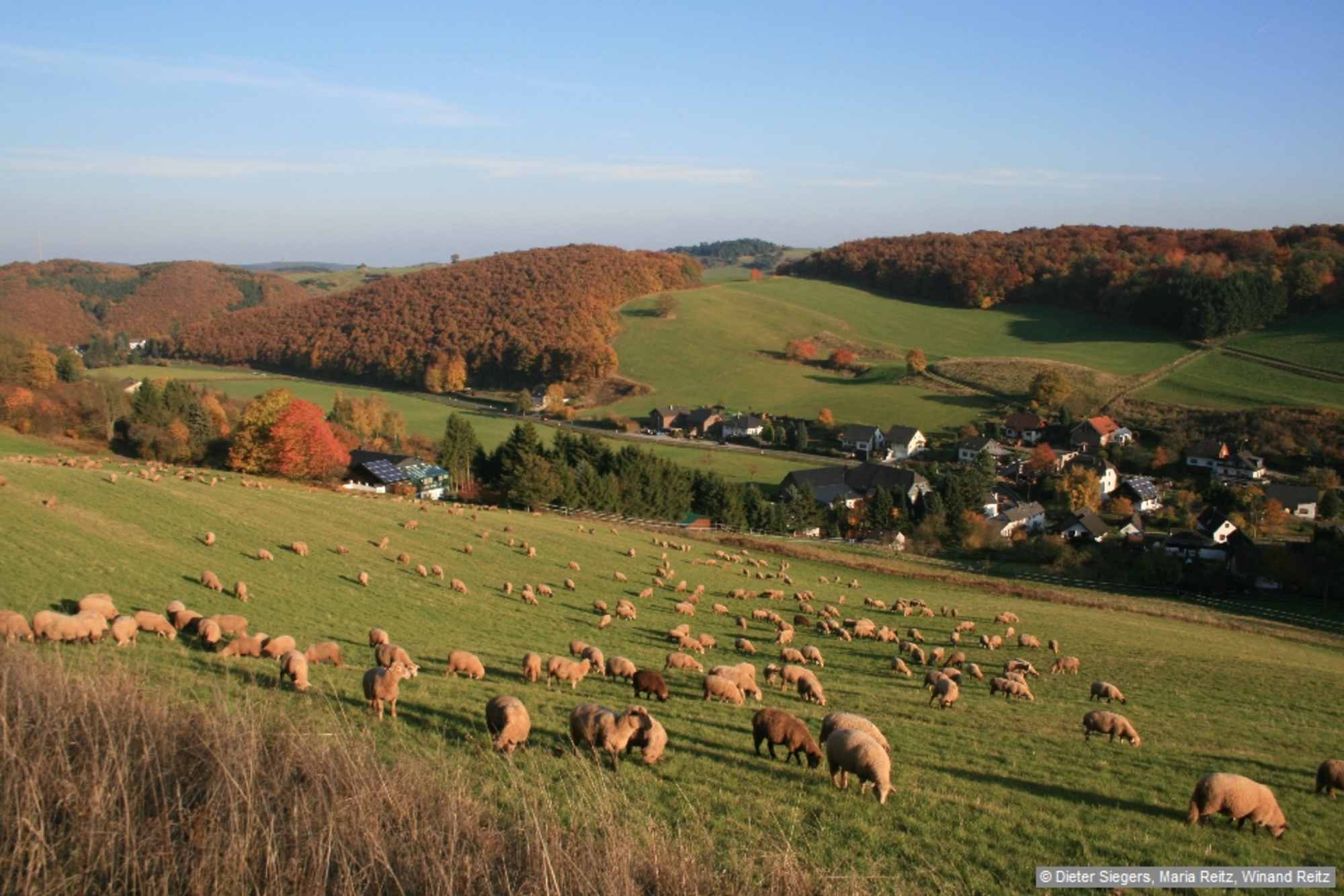 Wir folgen dem Grünackerweg aufwärts und stoßen nach 400 m auf ein Steinkreuz mit Sitzbank an einer Gabelung.
