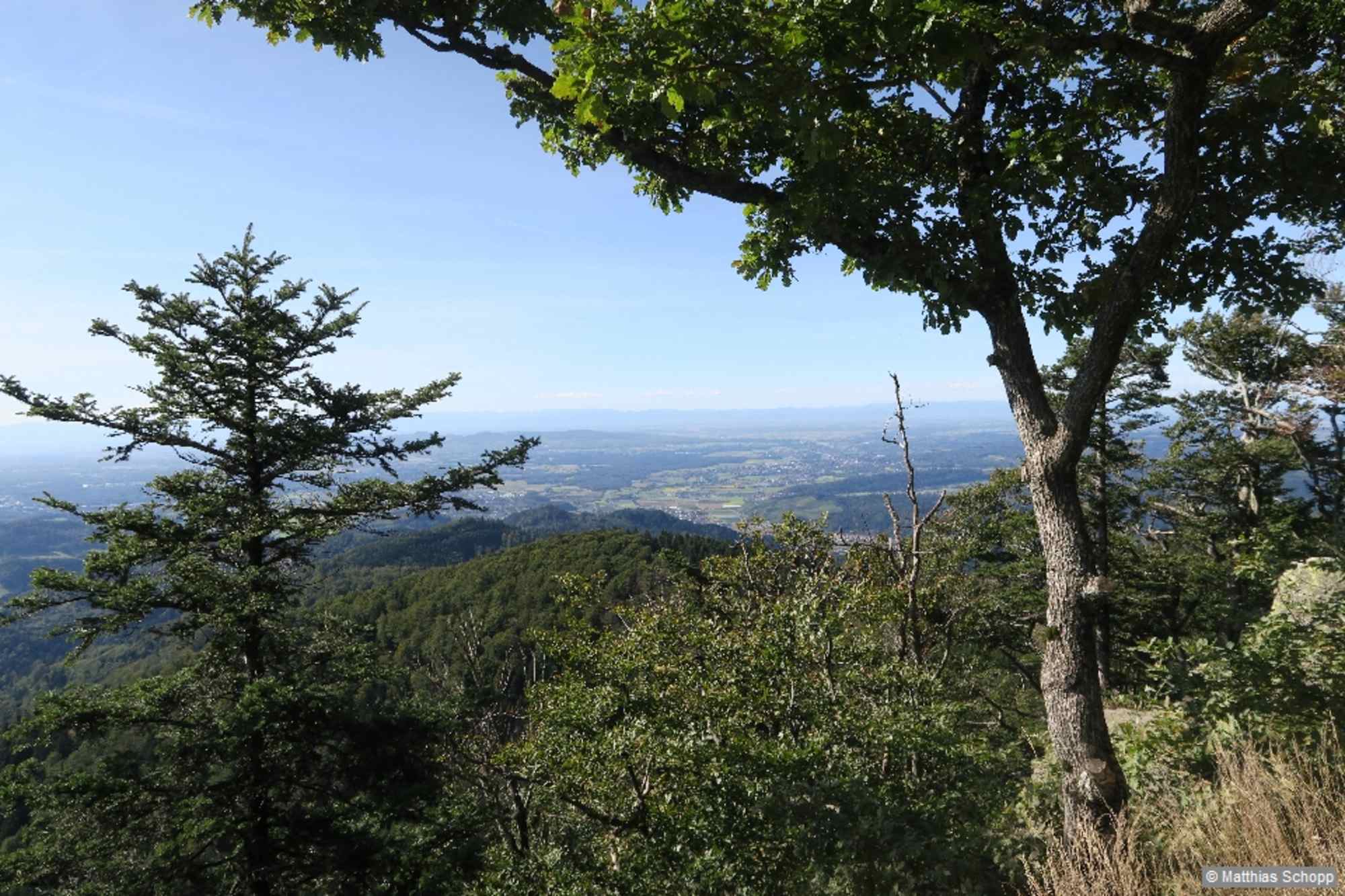 An der Thomashütte genießen wir einen herausragenden Blick über die Umgebung. Einige Sitzmöglichkeiten ermöglichen eine Panoramarast.