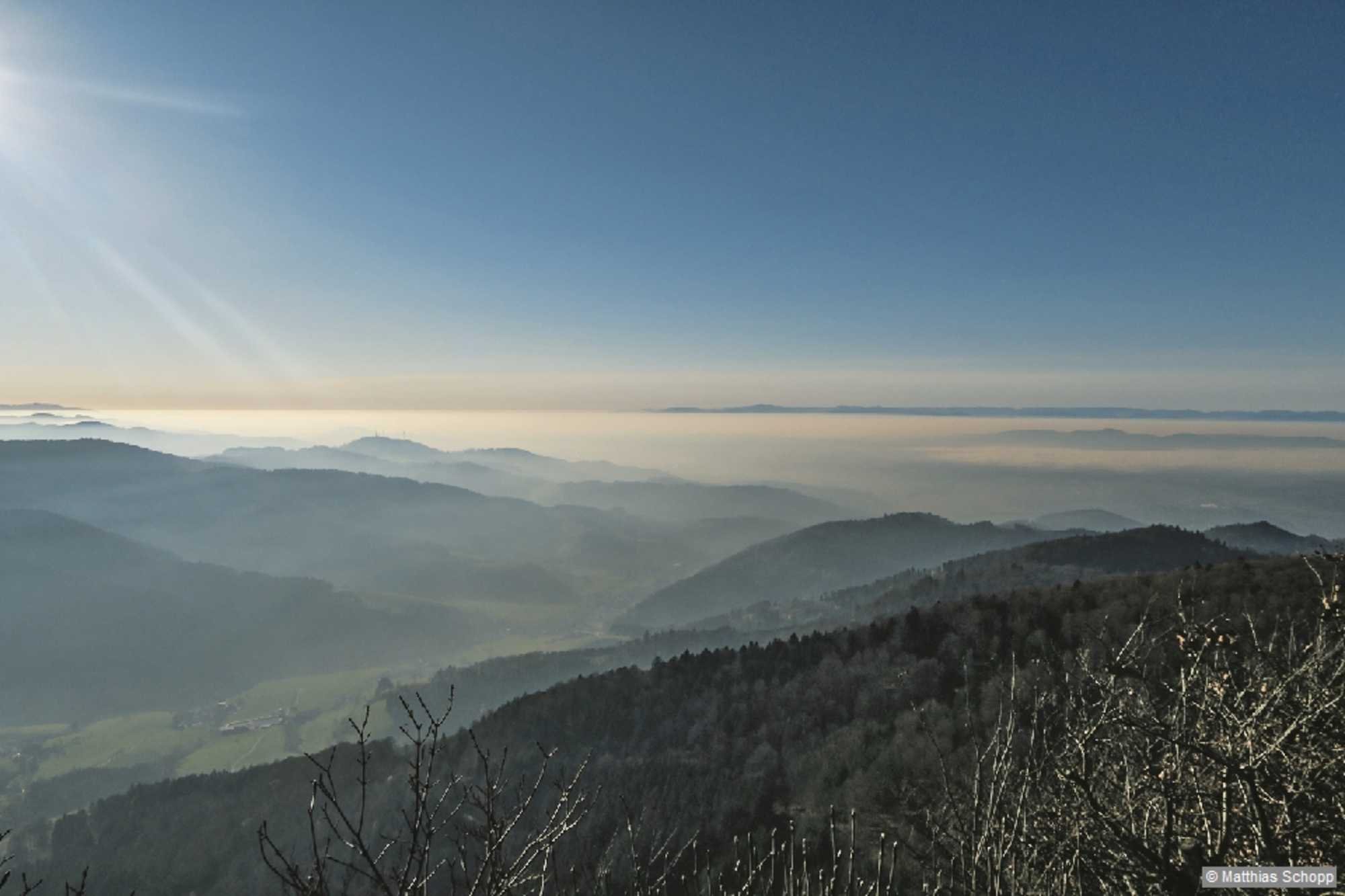 Weit schweift der Blick vom Kandel über das Oberrheinische Tiefland.