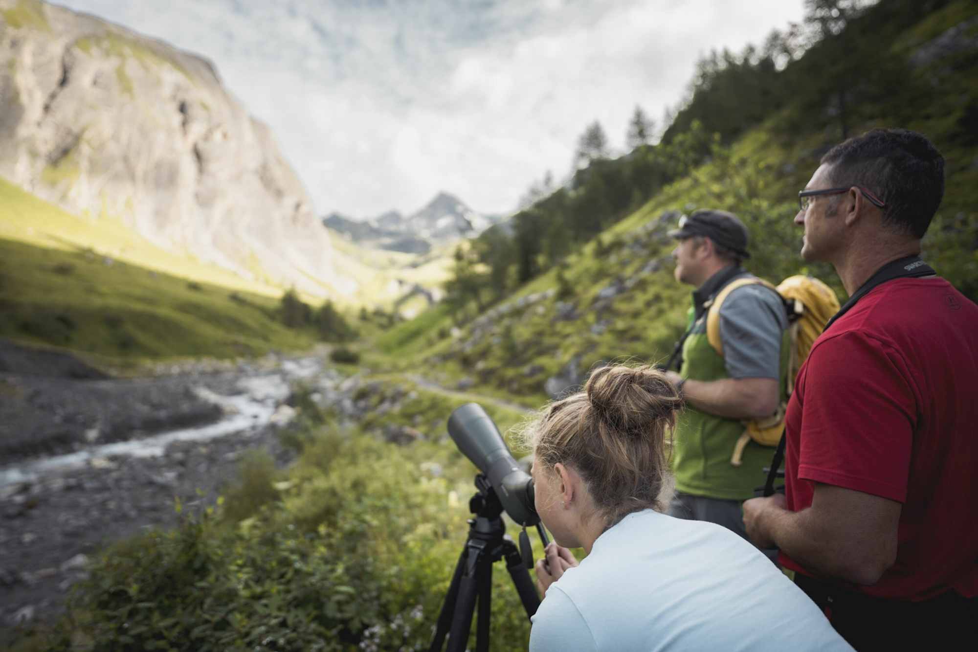 Wildtierbeobachtung im Kötnitztal im Nationalpark Hohe Tauern Osttirol