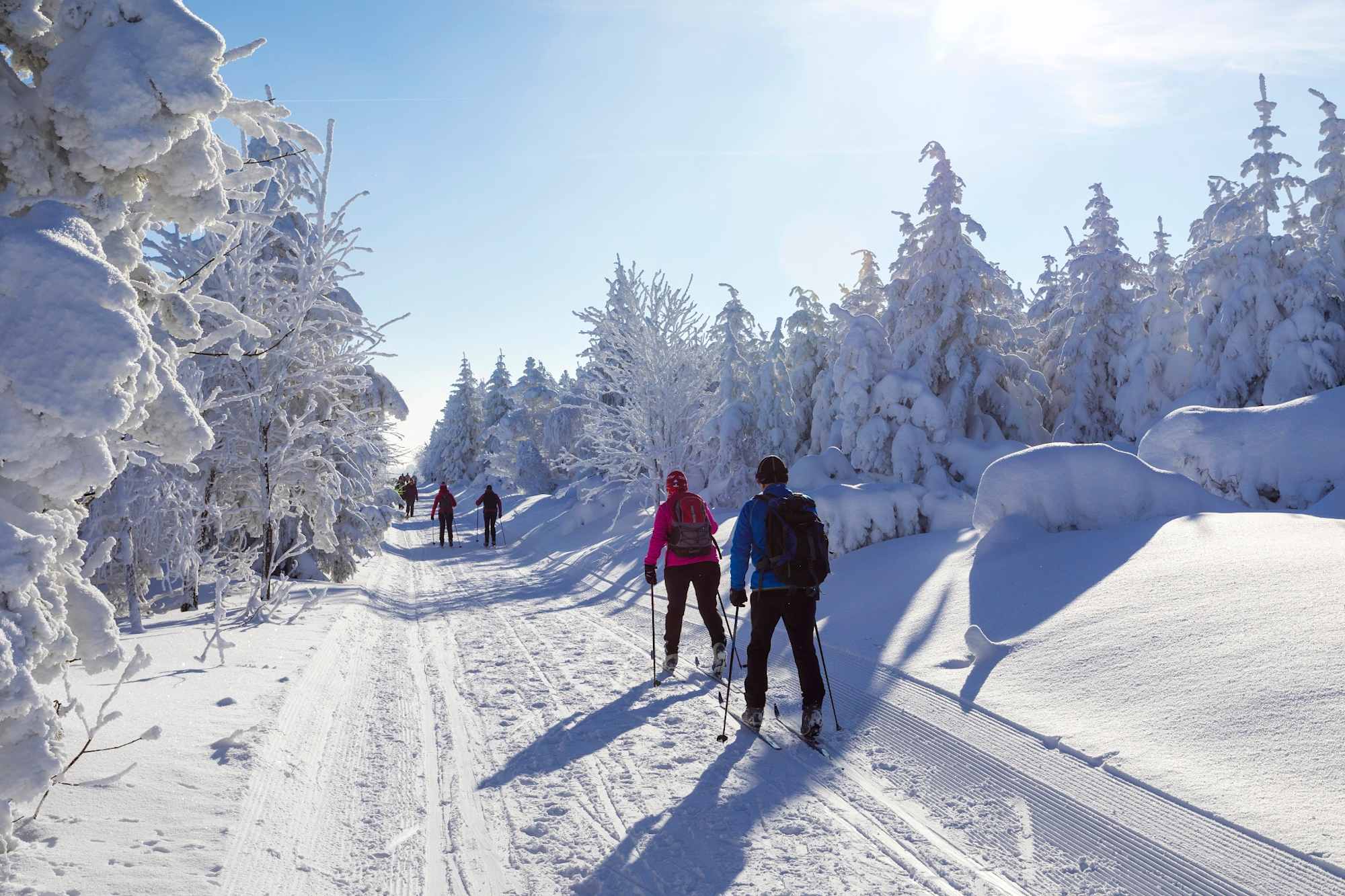 Winter in der Urlaubsregion Altenberg - Langlaufen