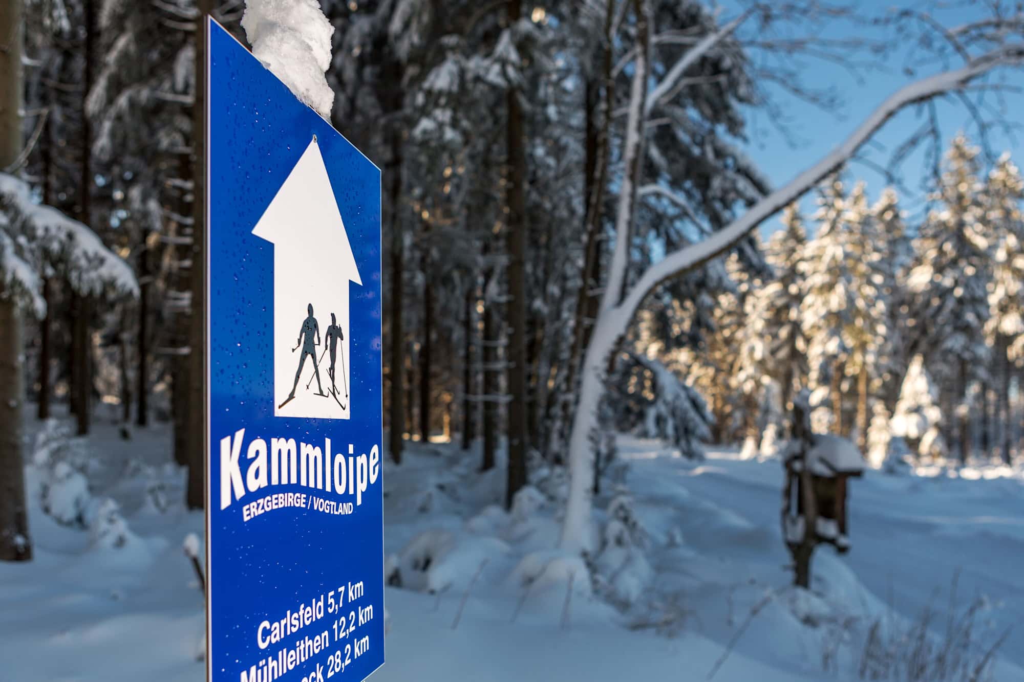 Kammloipe