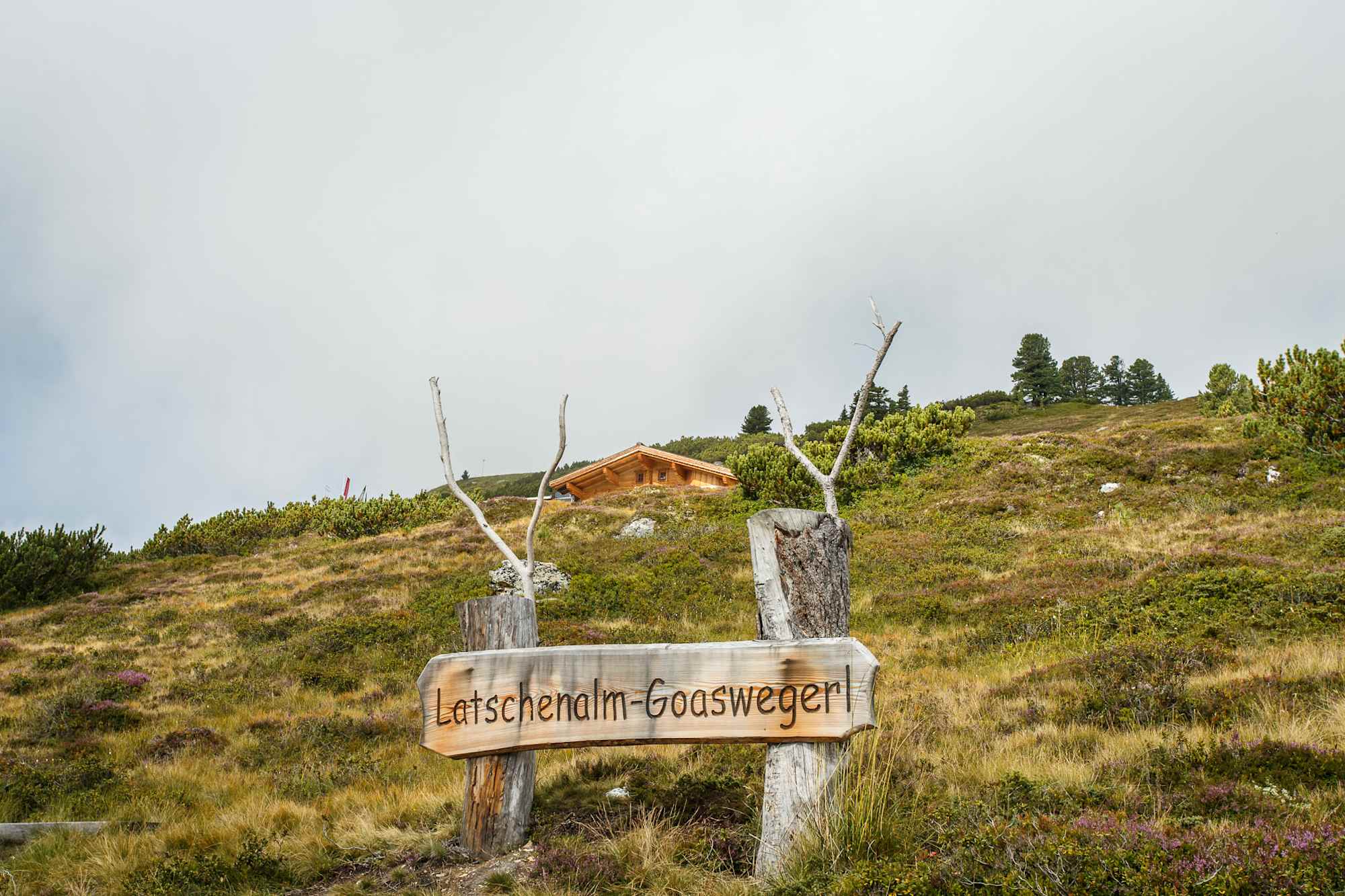 Am Weg zur Latschenalm