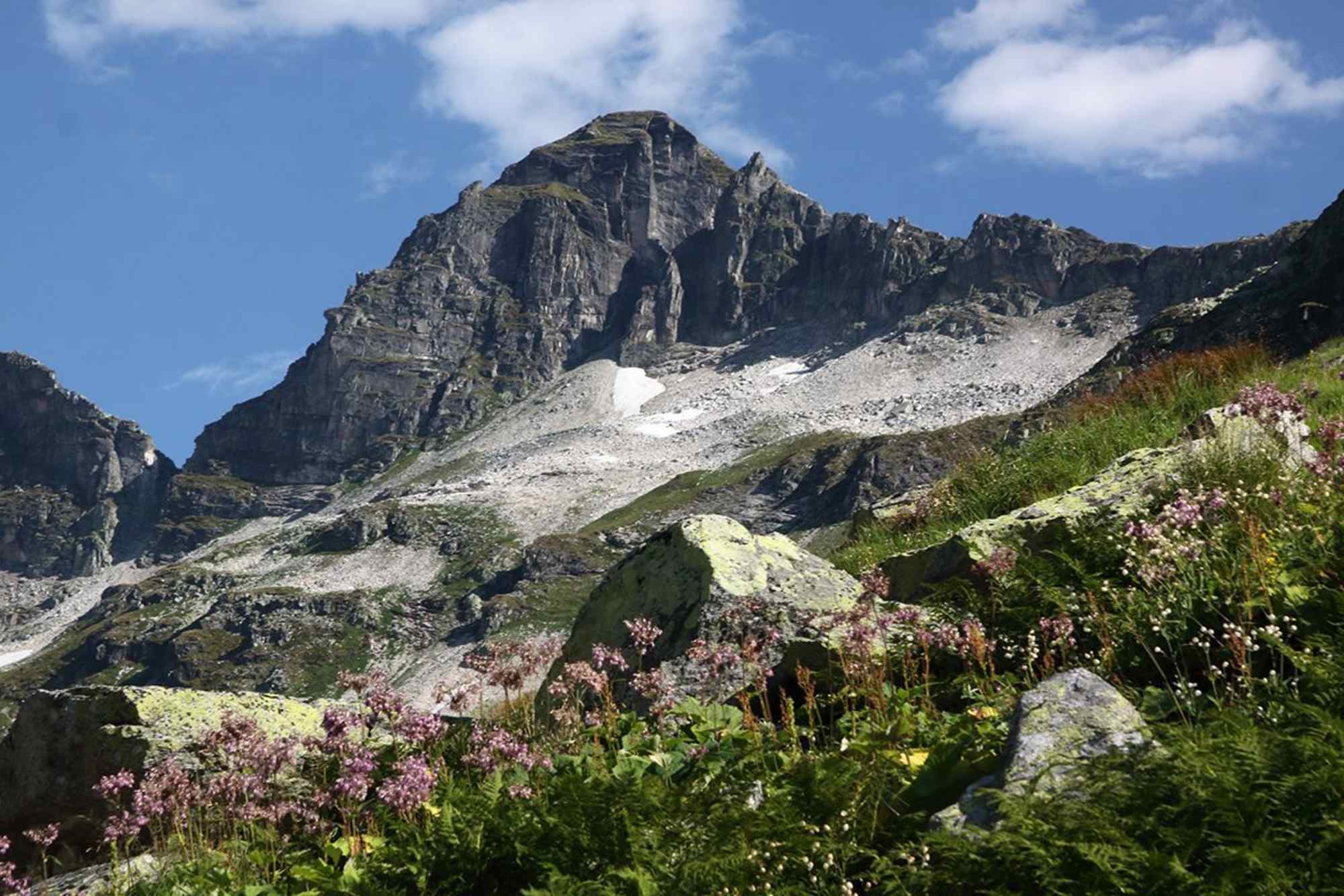 Aussicht von der Lesachalm in die Schobergruppe