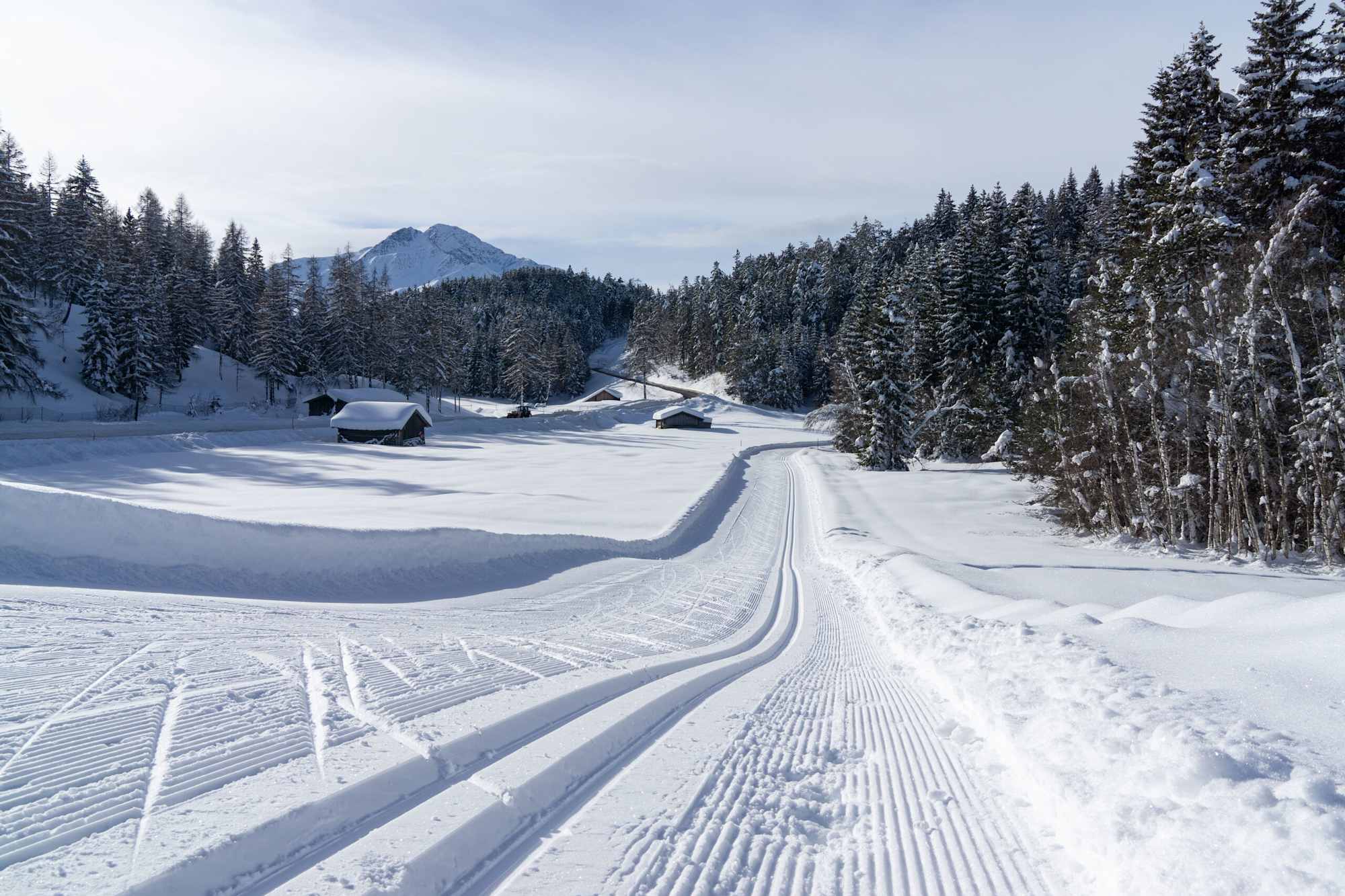 Loipeneinstieg Seewaldalm