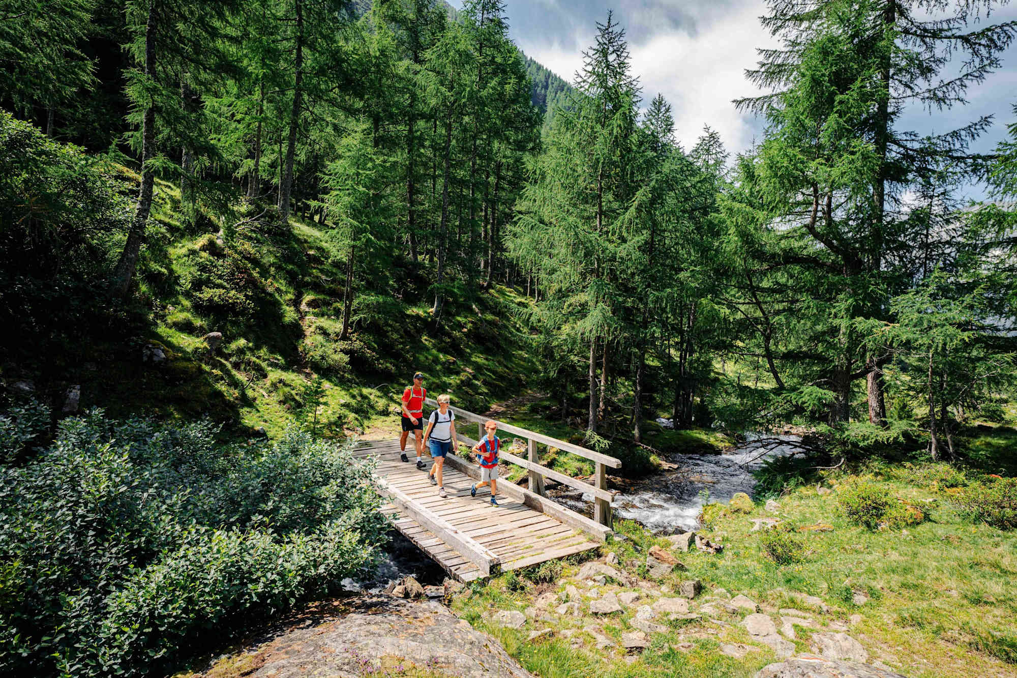 Schöne Waldwege führen hinunter nach Lessach.