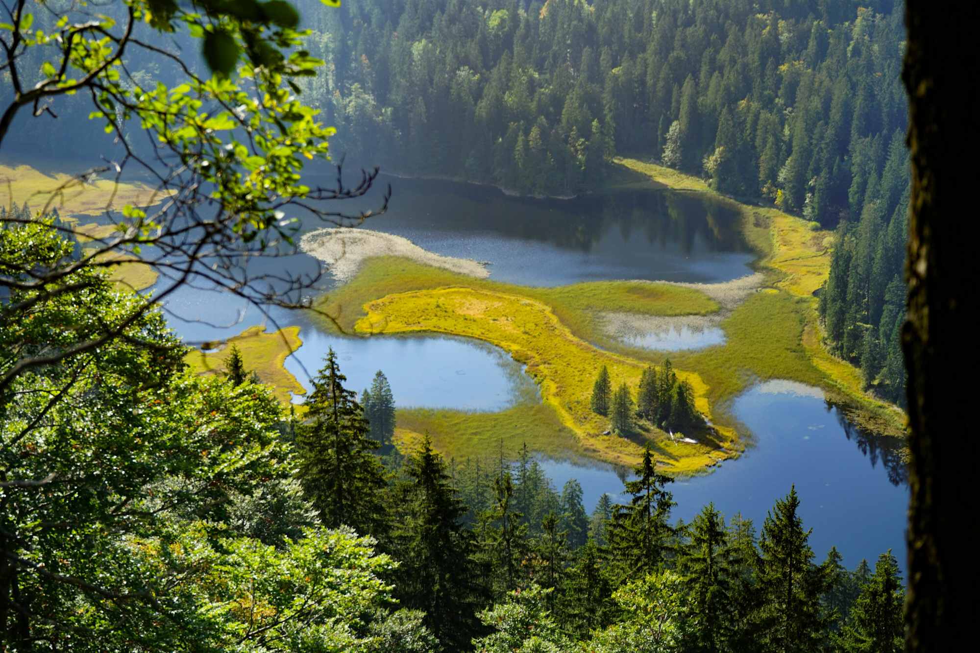 Eine Variante der Etappe führt vom „Lehardikreuz“ über den Obersee (1.114 m) zur Ybbstaler Hütte.