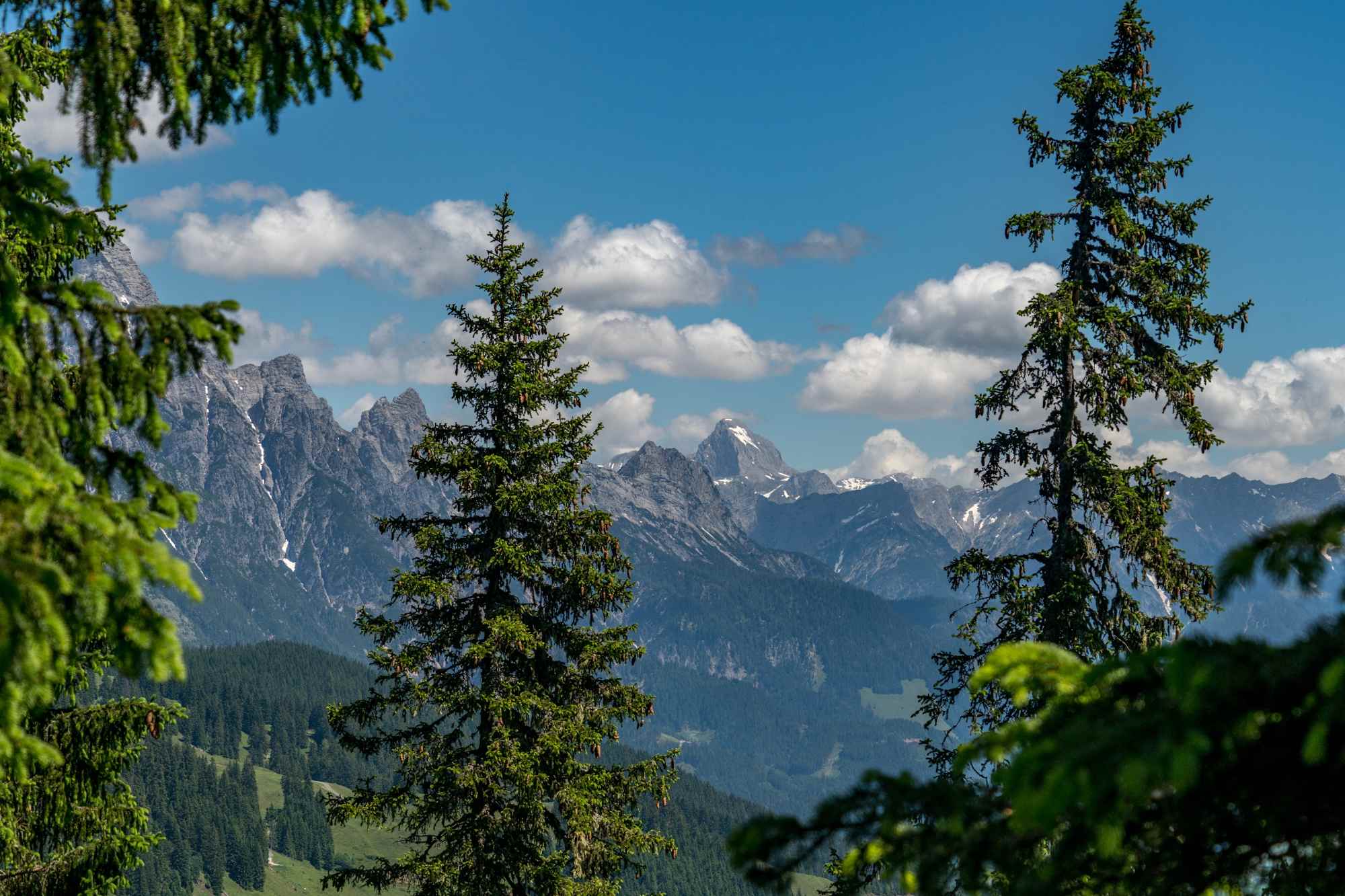 Ausblick vom Maisereck auf die Leoganger Steinberge