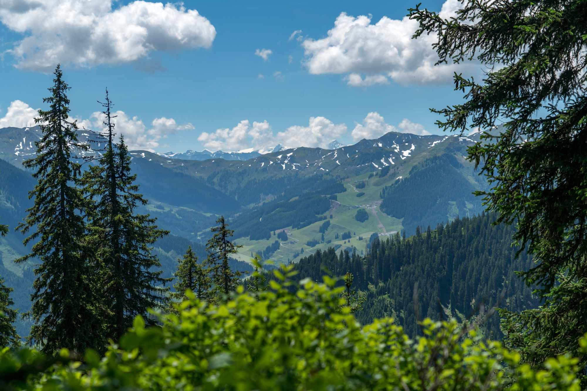 Ausblick vom Maisereck ins Glemmtal