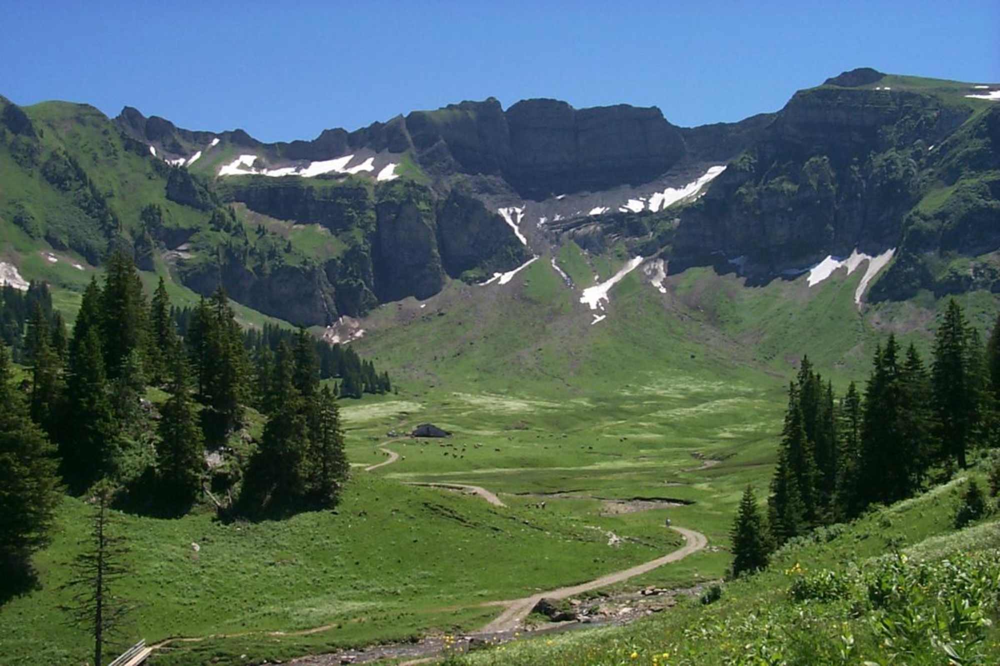 Alpe Kanis 