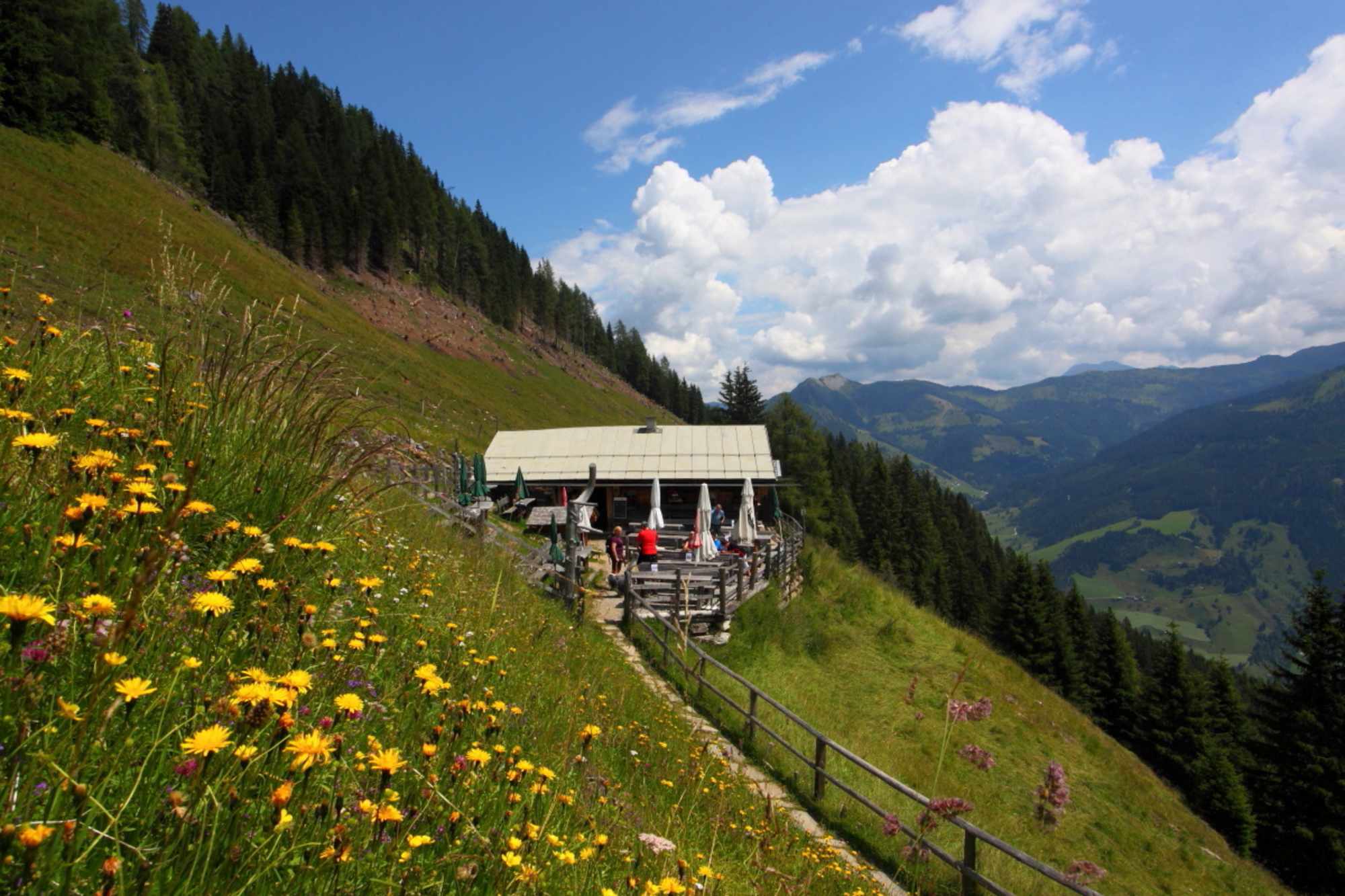 Die kleine Viehhausalm