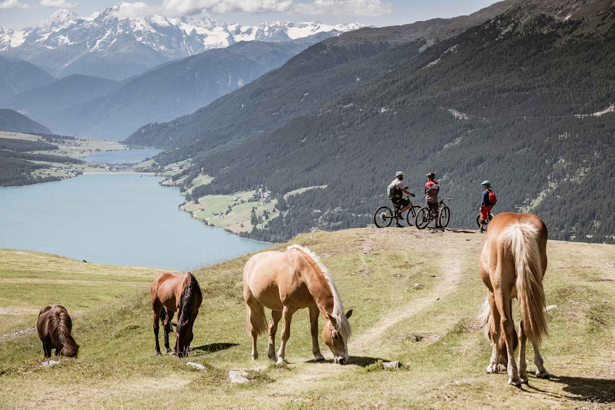 Blick auf den Reschensee und Ortler