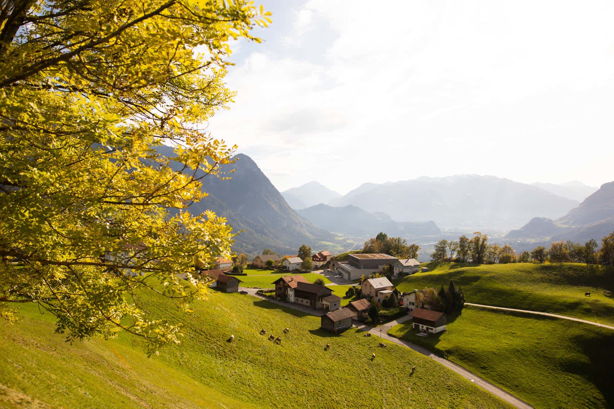 Triesenberg