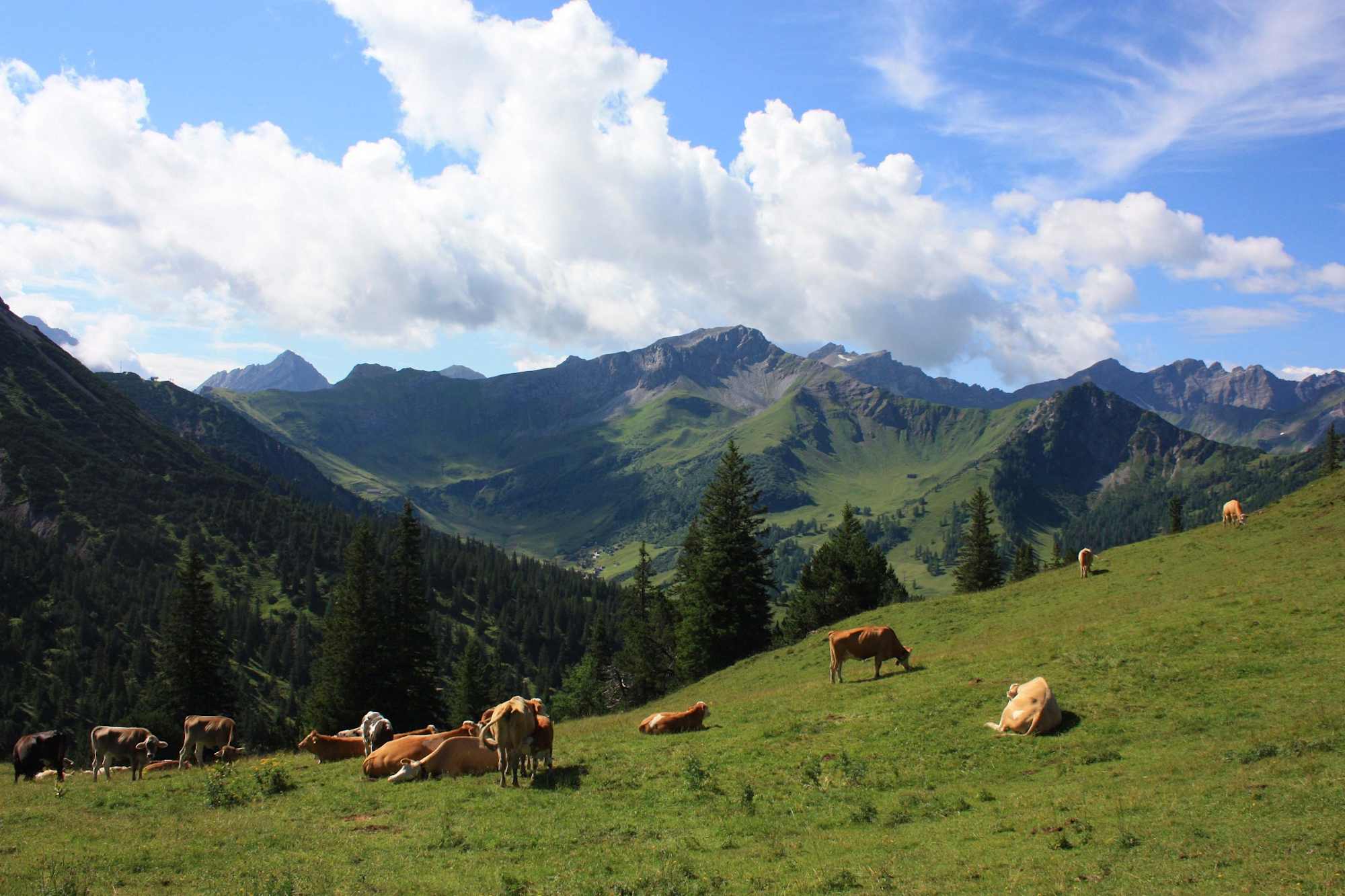Blick auf Malbun