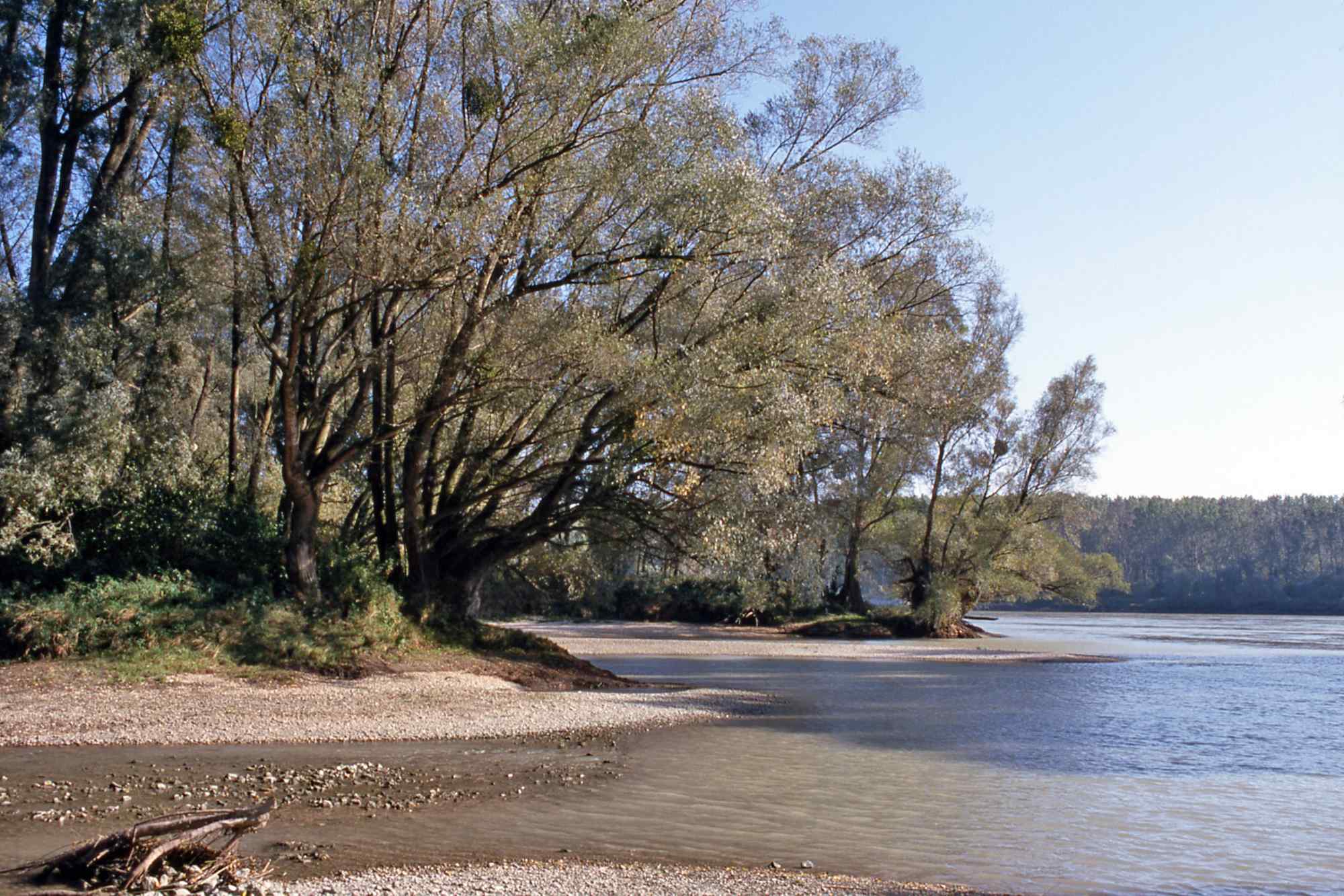 Orther Inseln an der Donau