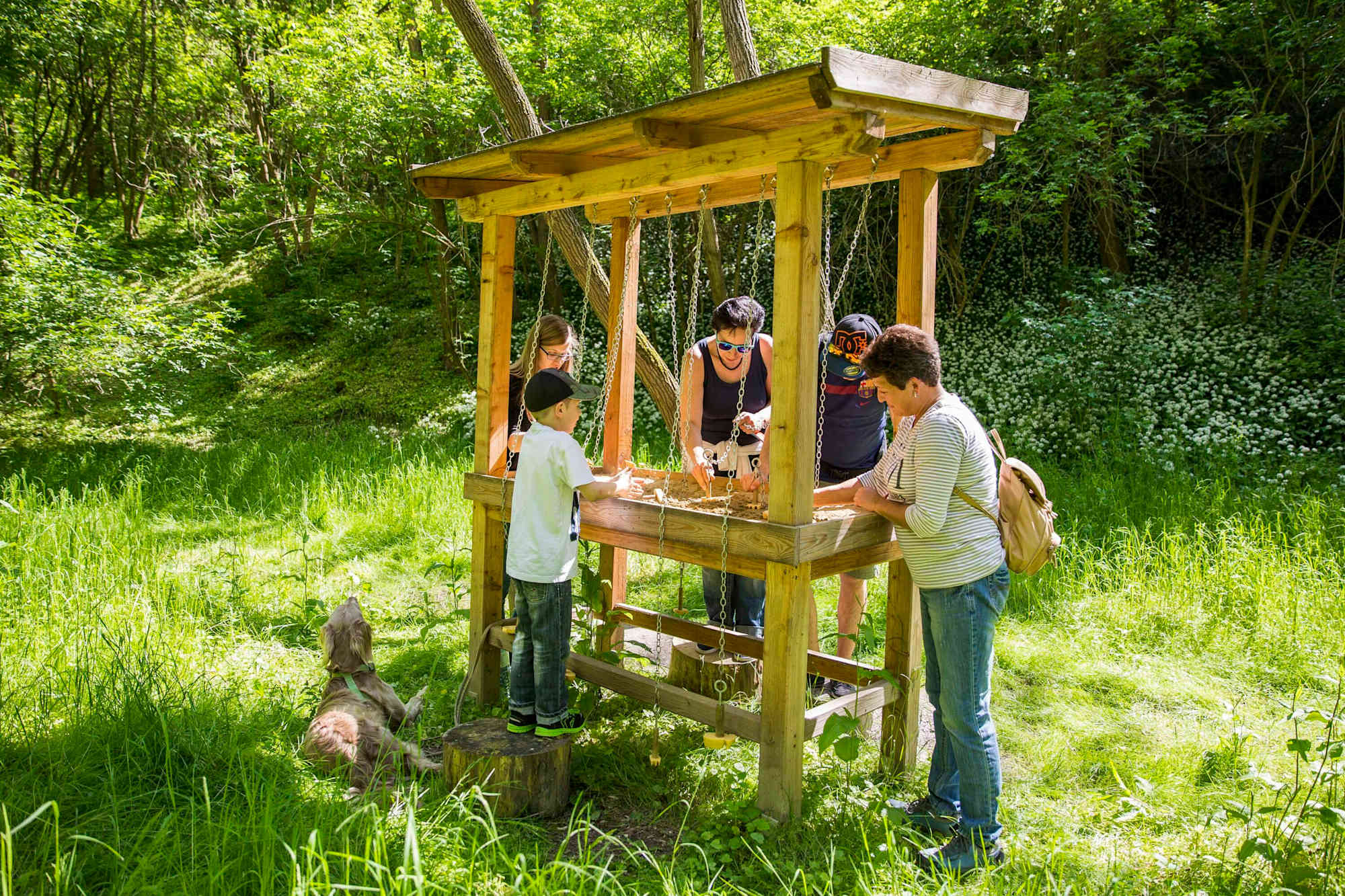 Viel zu erkunden und zu lernen gibt es am Bienenfresser Themenweg Haslau