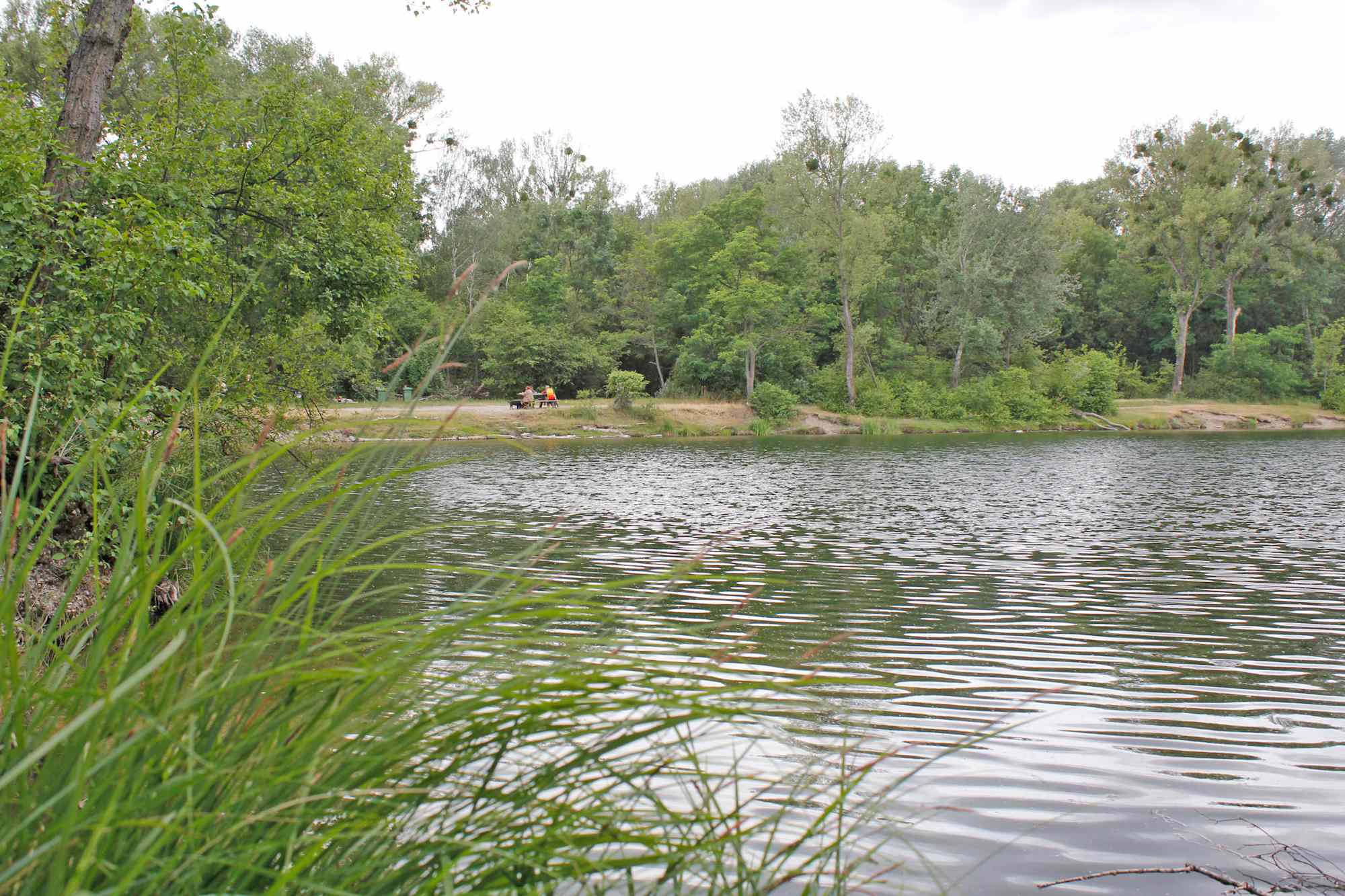 Die Dechantlacke am Naturlehrweg Obere Lobau