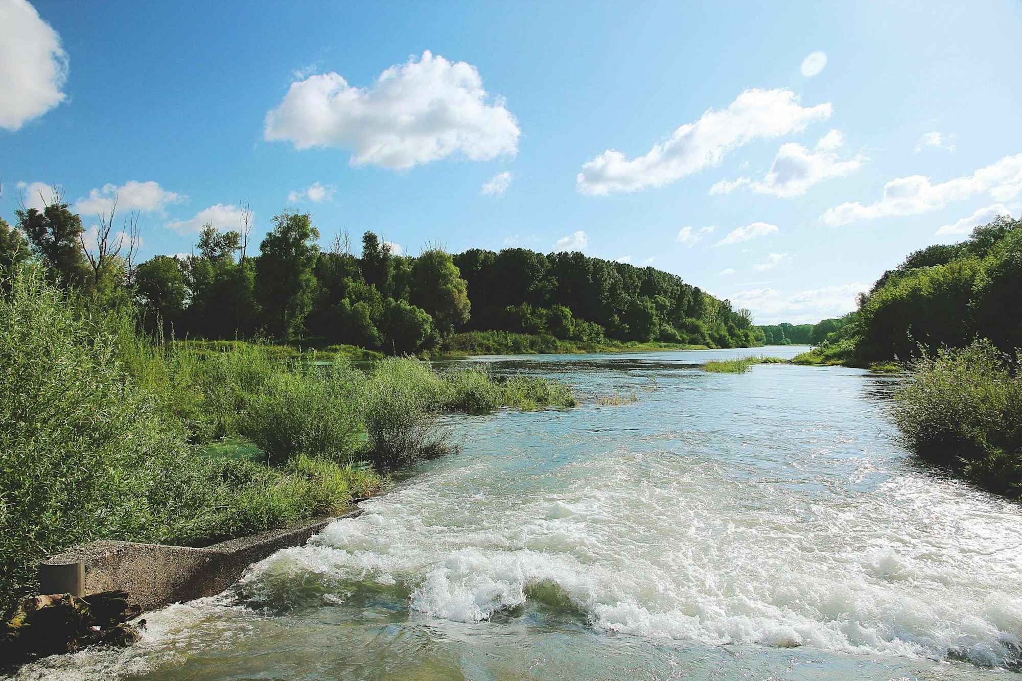 Seitenarm der Donau bei Haslau