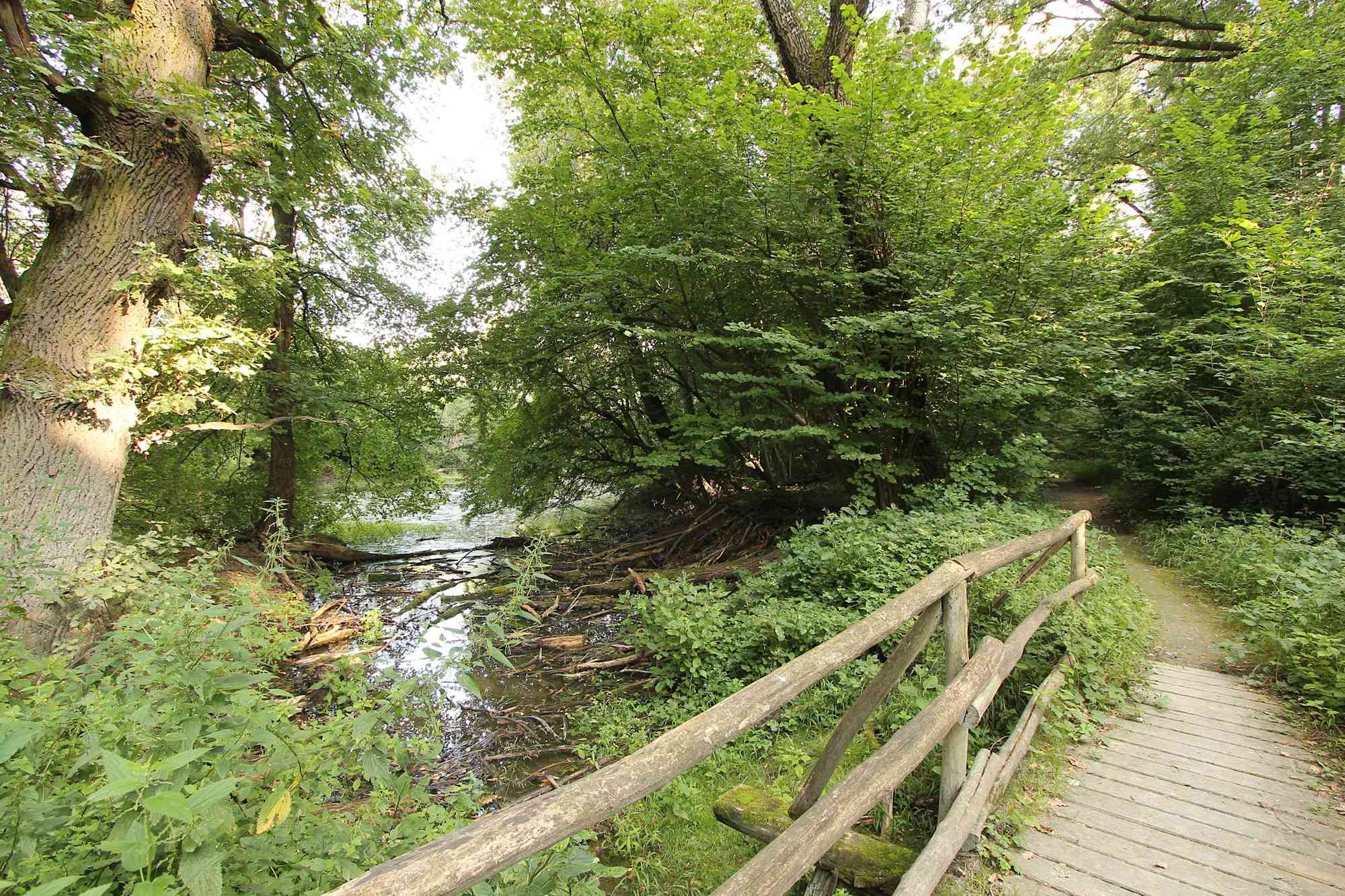 Wanderwege bei Orth im Nationalpark Donau-Auen